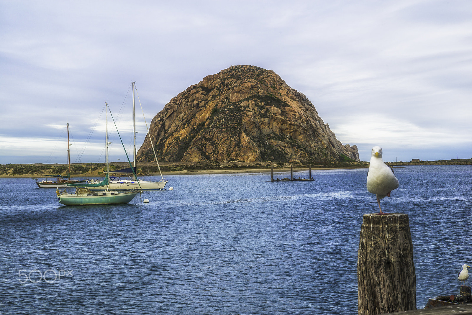 Nikon D800 sample photo. Morro bay photography
