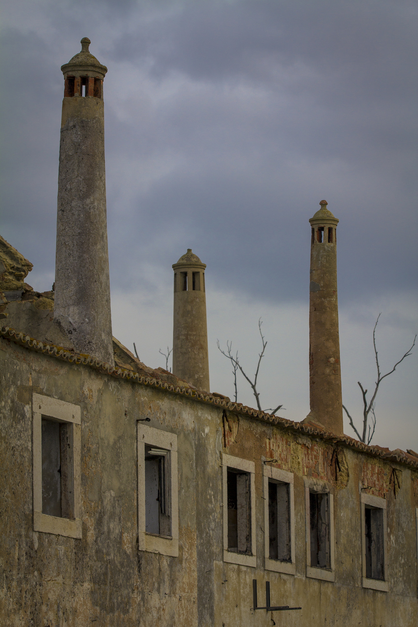 Canon EF 70-200mm F2.8L IS II USM sample photo. Quinta de braancamp photography