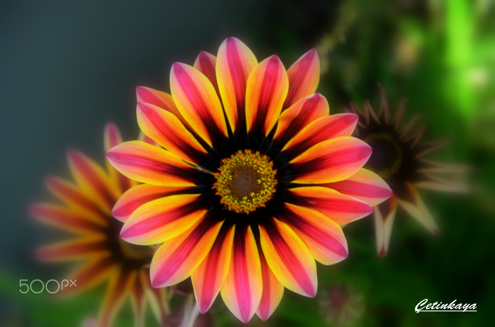 Sigma 18-200mm F3.5-6.3 DC OS HSM sample photo. Colours photography