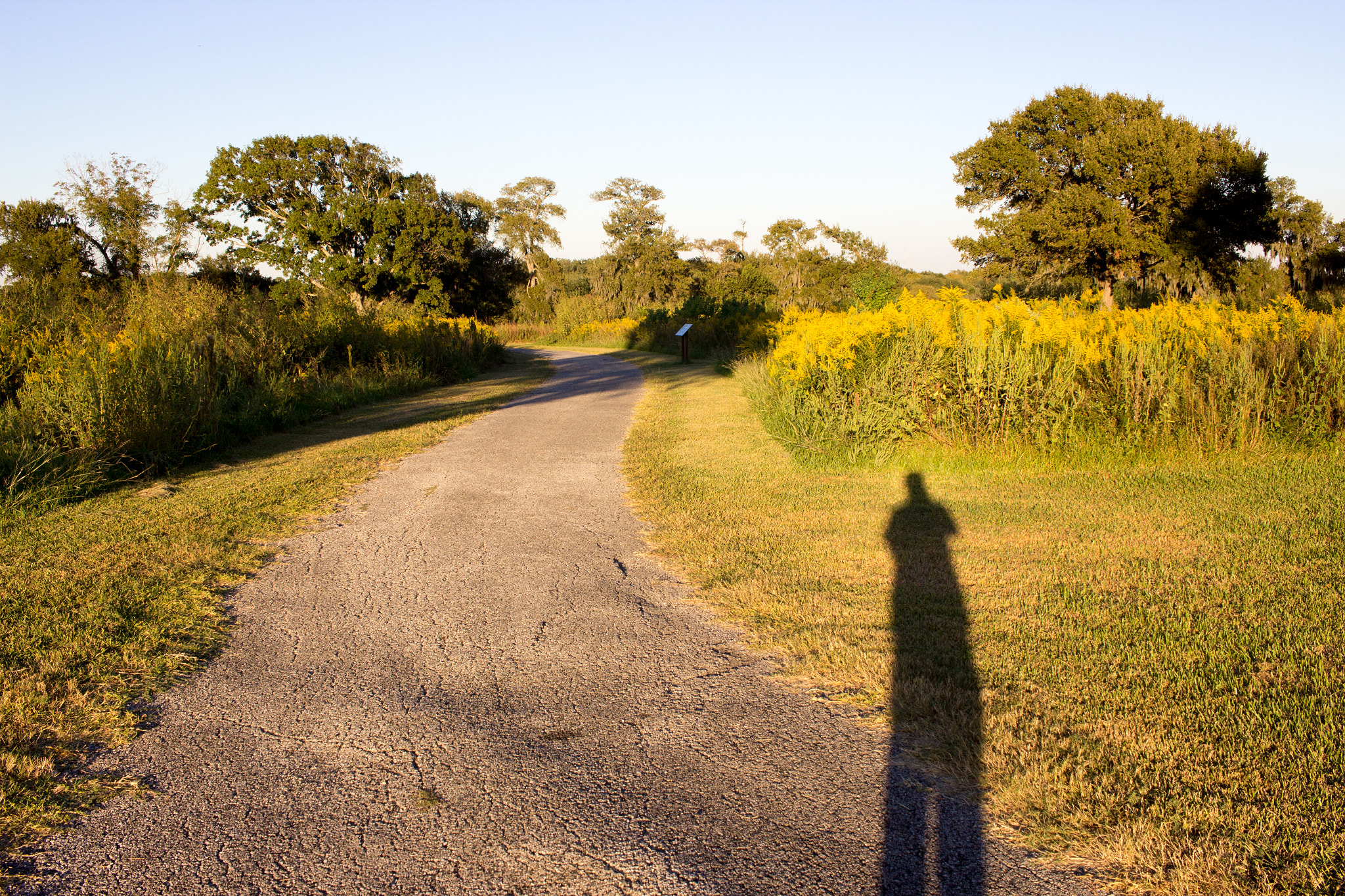 Canon EF-S 24mm F2.8 STM sample photo. 29974423874.jpg photography