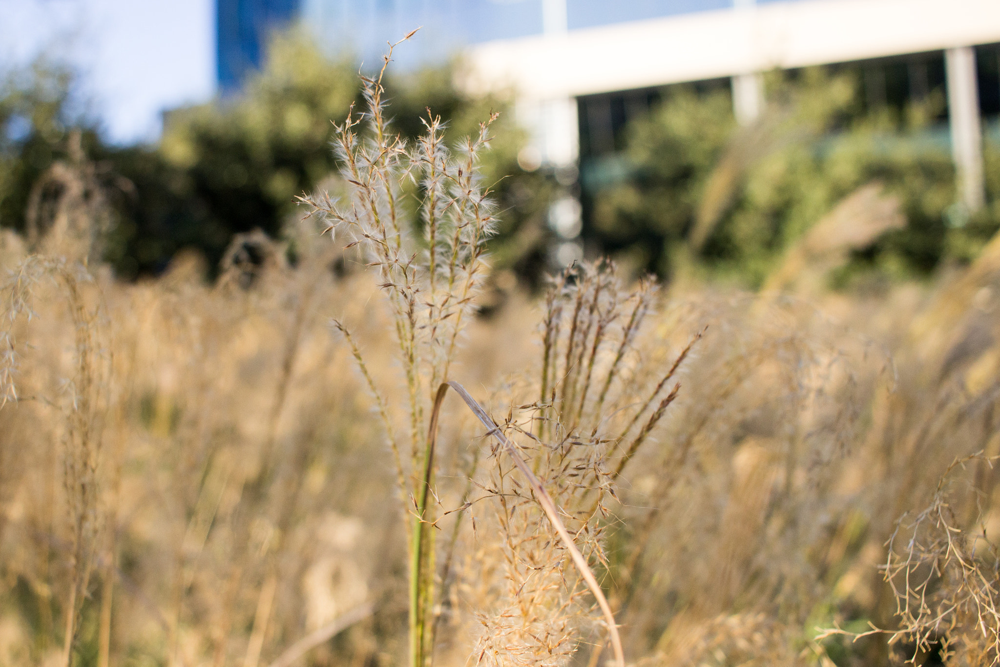 Canon EF-S 24mm F2.8 STM sample photo. 30606229585.jpg photography