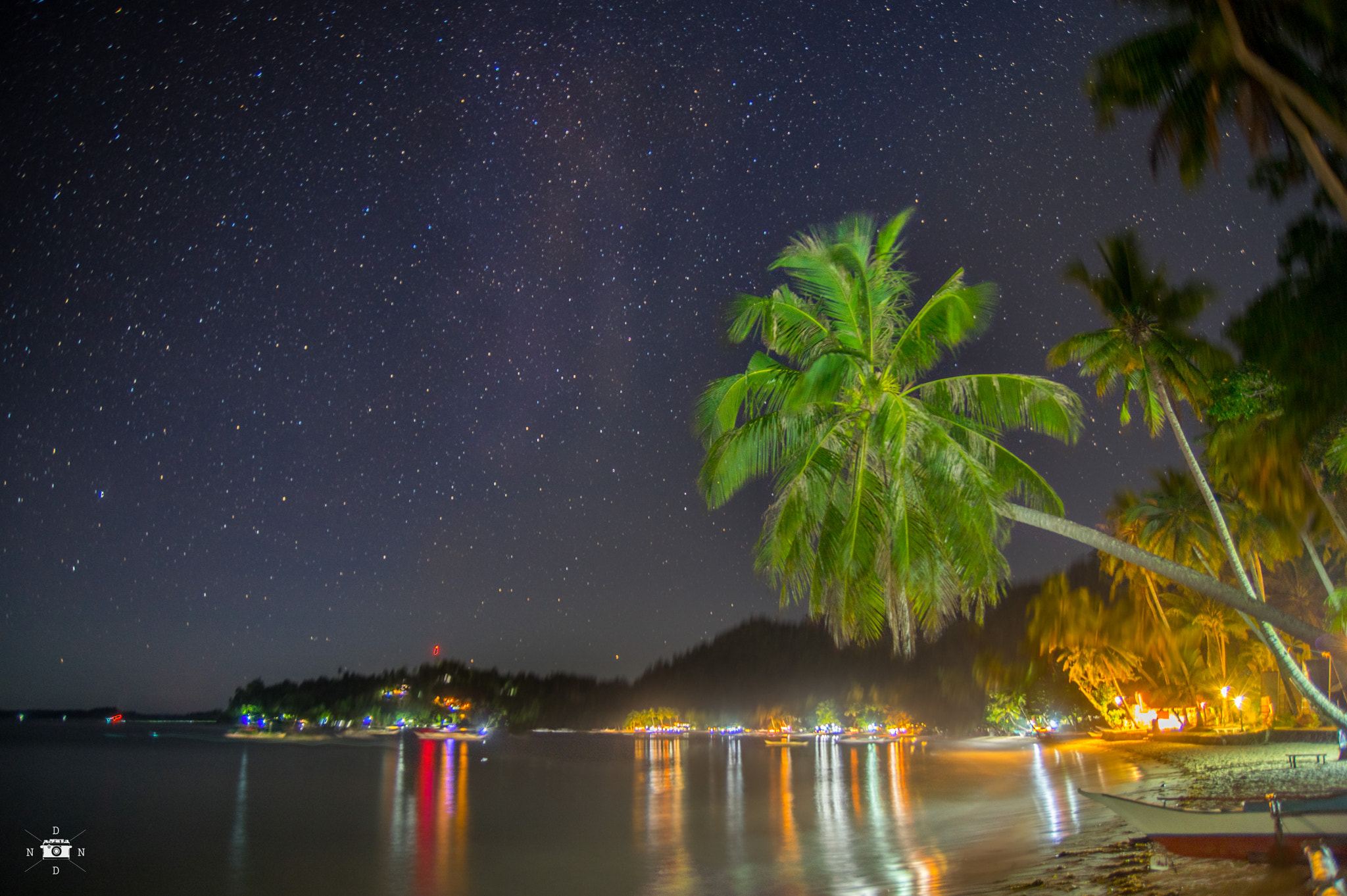 Pentax K-3 II sample photo. Star and palm tree photography