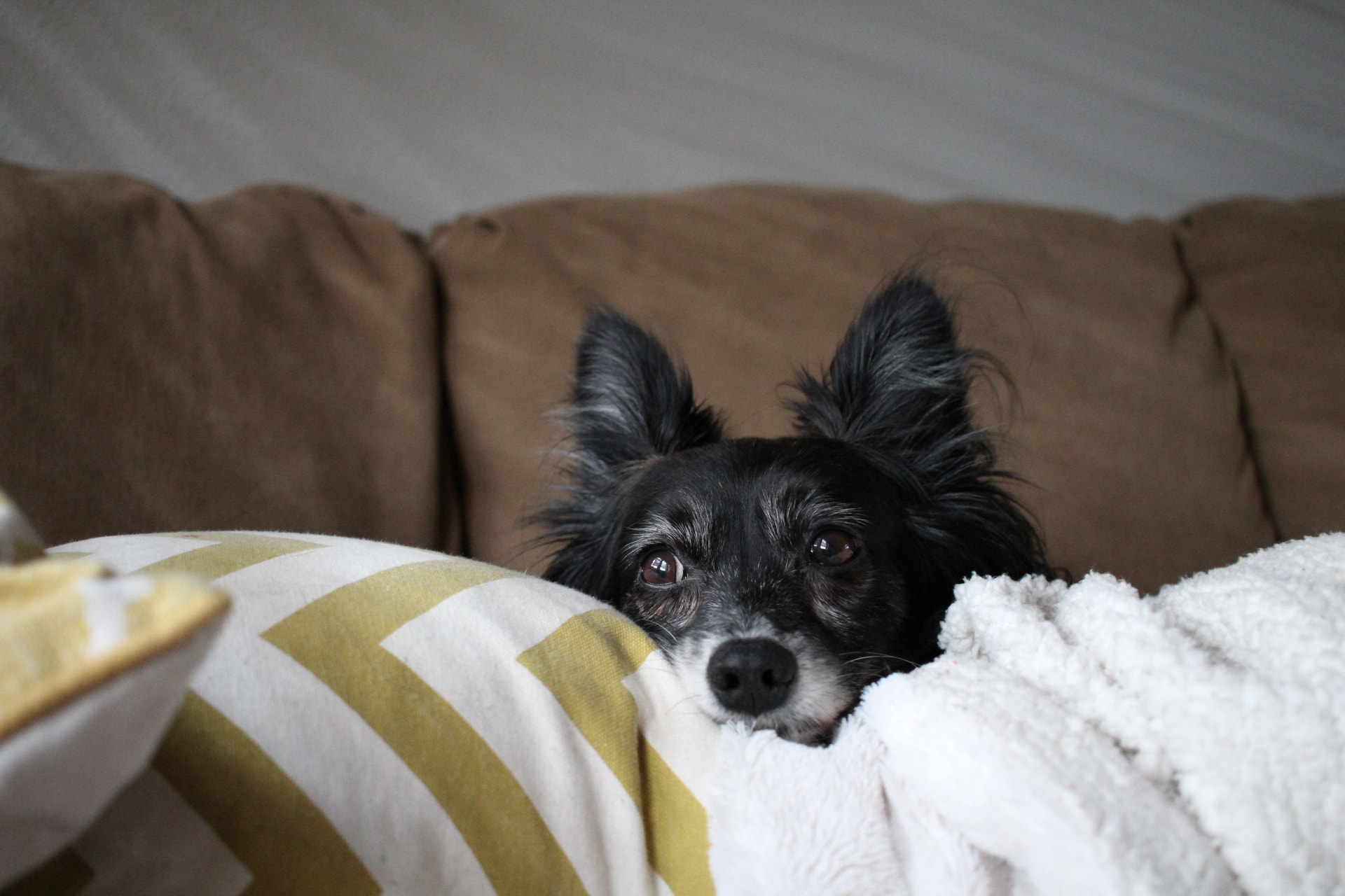 Canon EF-S 24mm F2.8 STM sample photo. Lazy days. photography