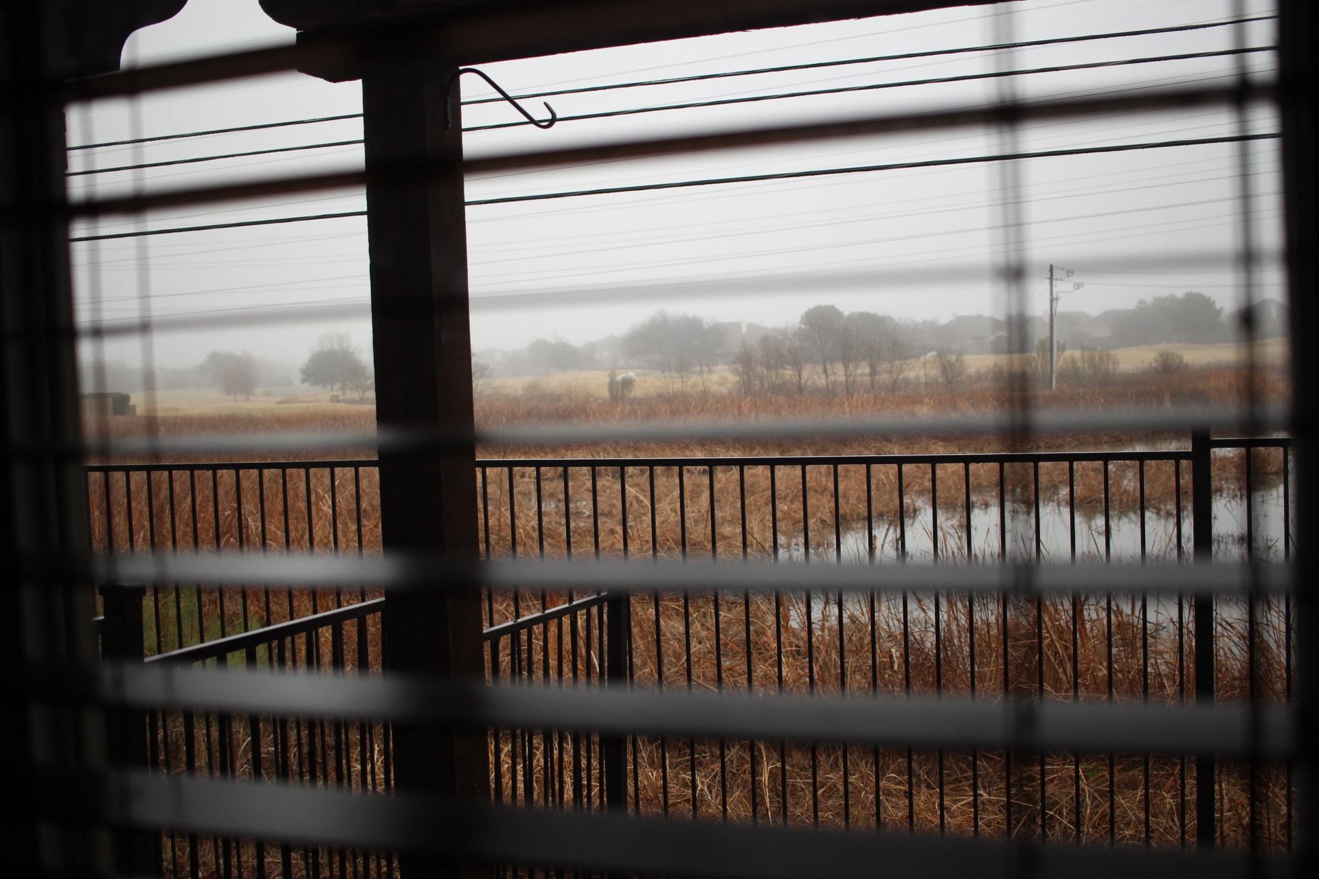 Canon EF-S 24mm F2.8 STM sample photo