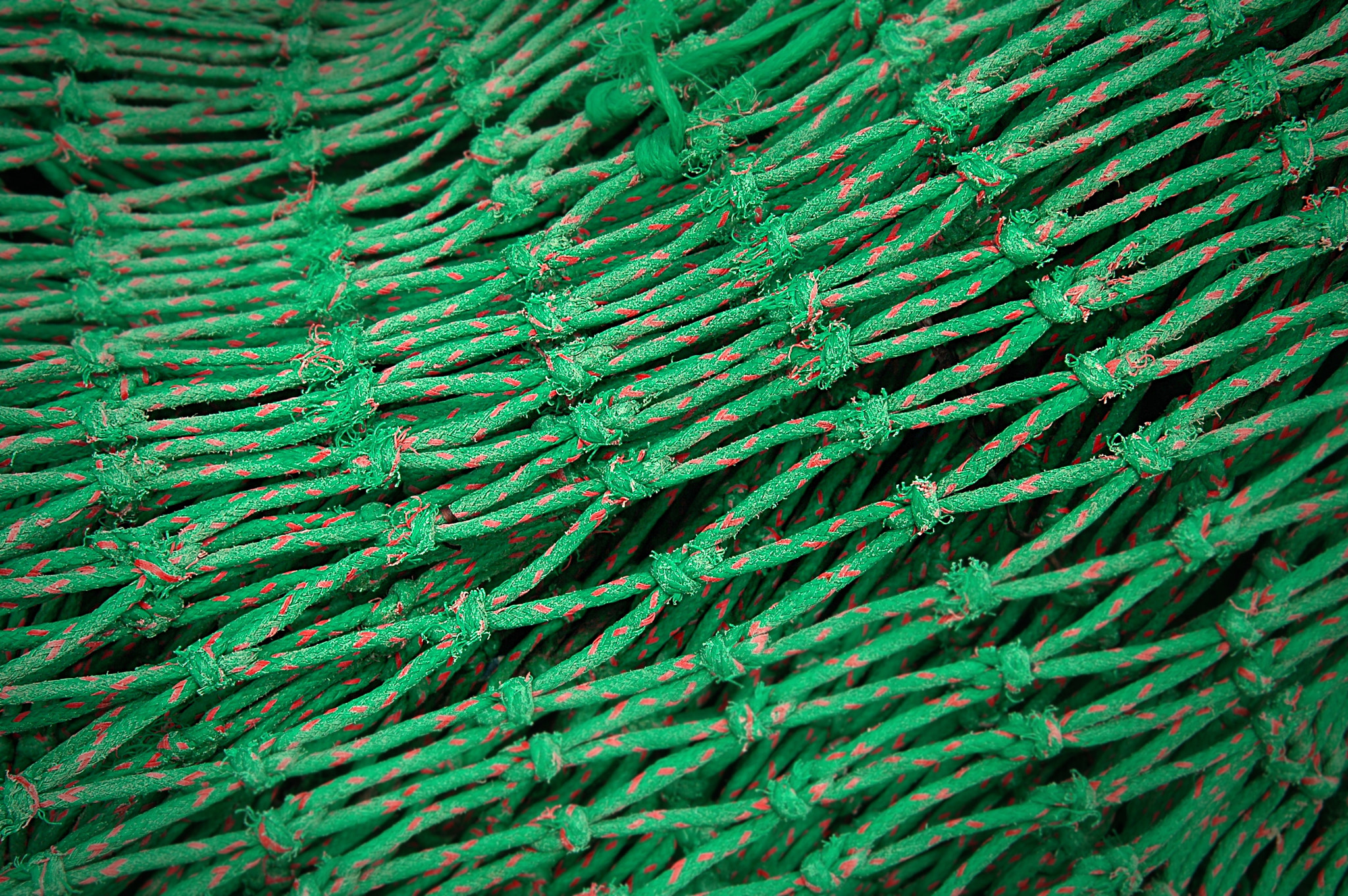 Nikon D70s sample photo. Fishing net photography
