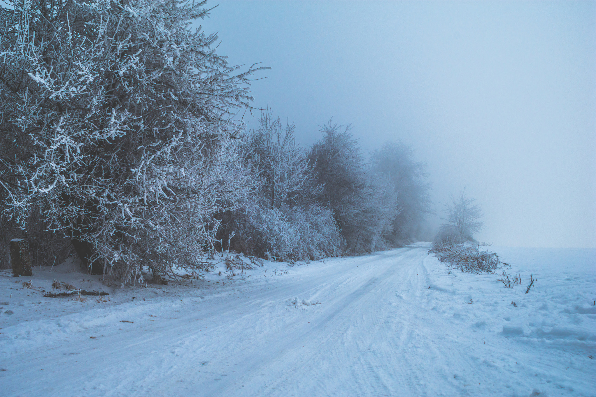 Nikon D7200 + Sigma 24-70mm F3.5-5.6 Aspherical HF sample photo. Blue mist of january photography