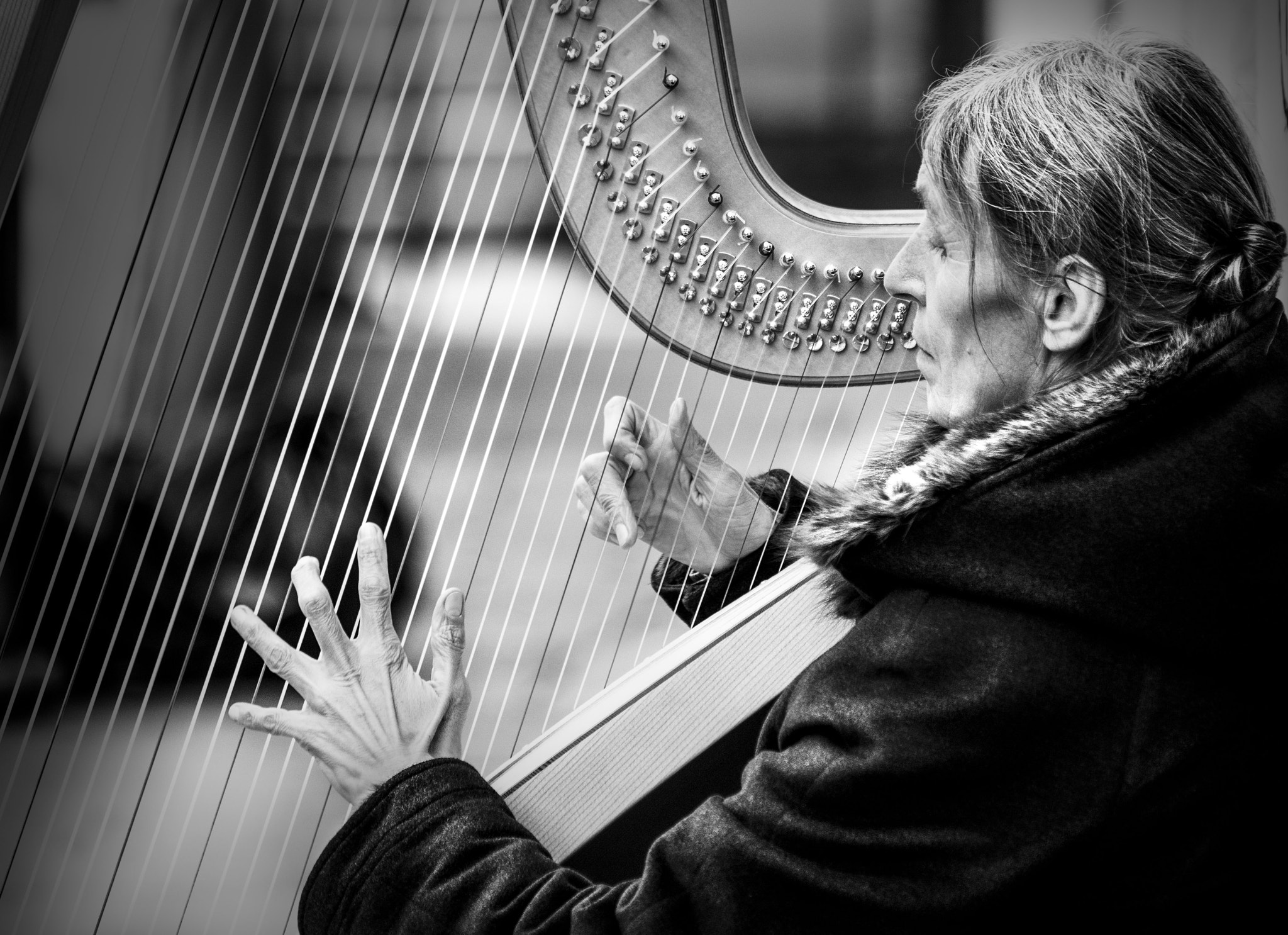 Nikon AF-S Nikkor 70-200mm F4G ED VR sample photo. The harpist photography