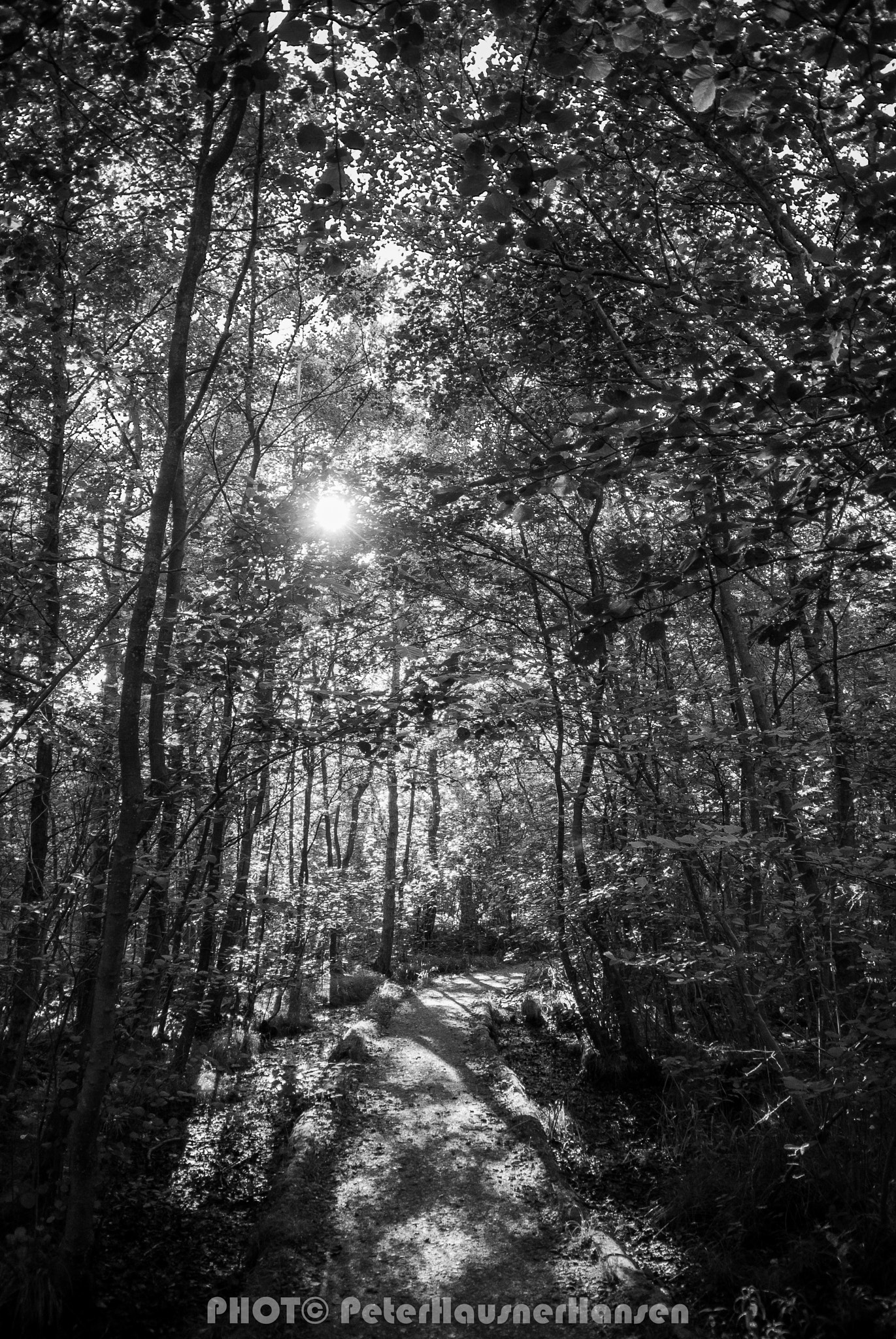 Nikon 1 Nikkor VR 10-30mm F3.5-5.6 sample photo. Far and away.. photography