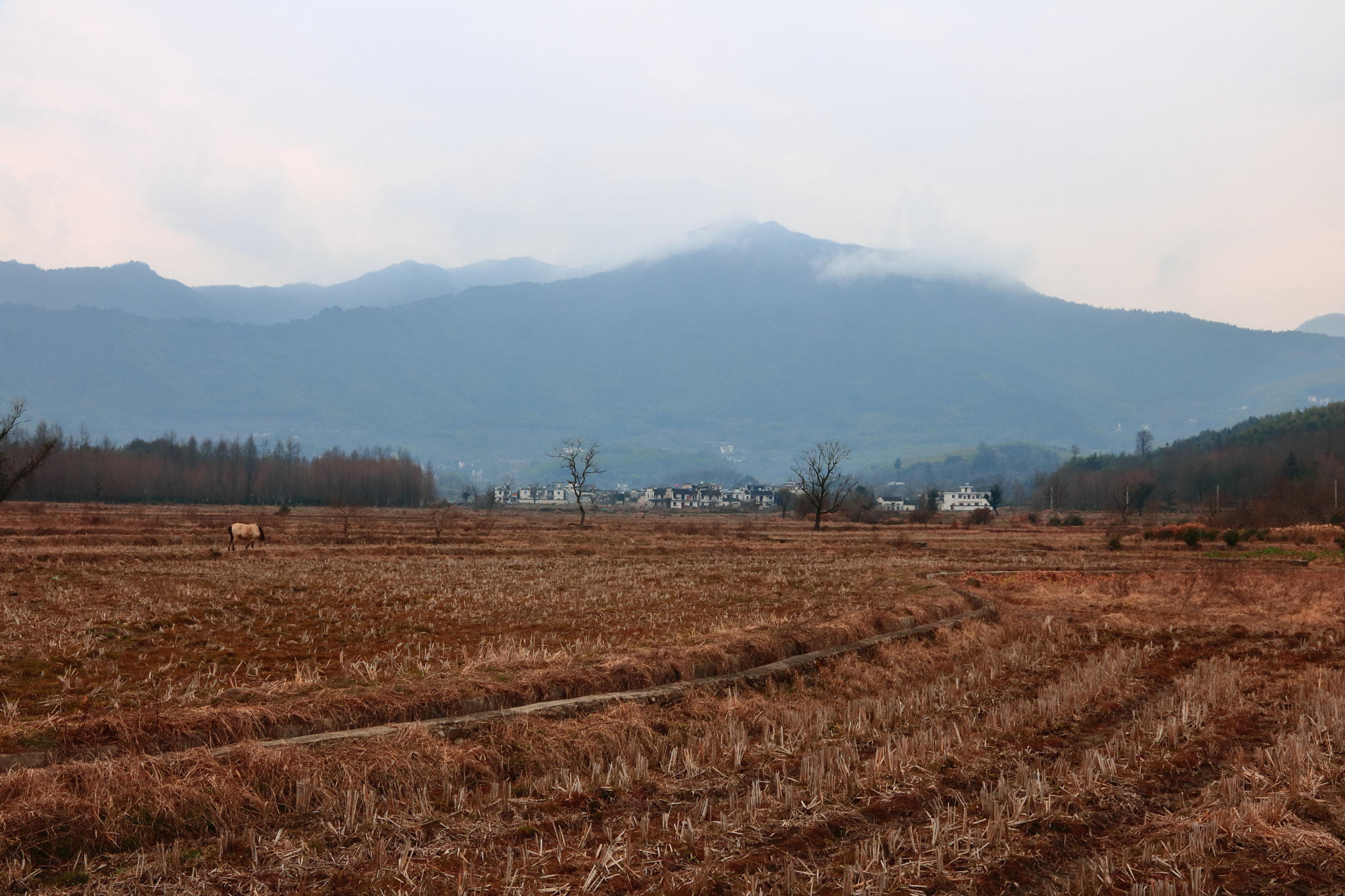 Canon EOS 760D (EOS Rebel T6s / EOS 8000D) sample photo