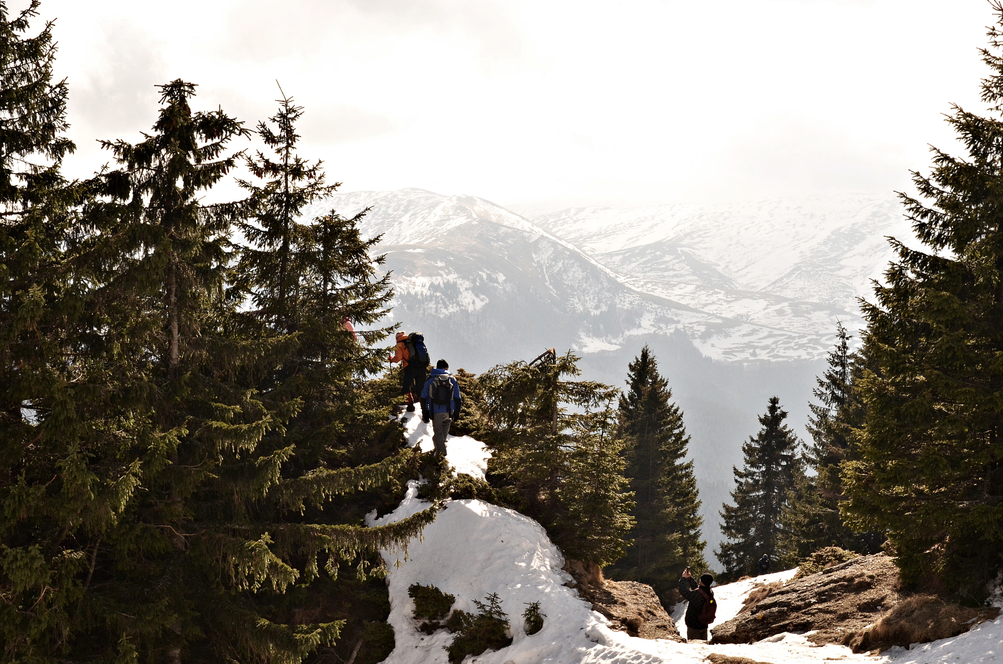 Nikon D7000 + Sigma 18-50mm F2.8-4.5 DC OS HSM sample photo. Climbing up photography