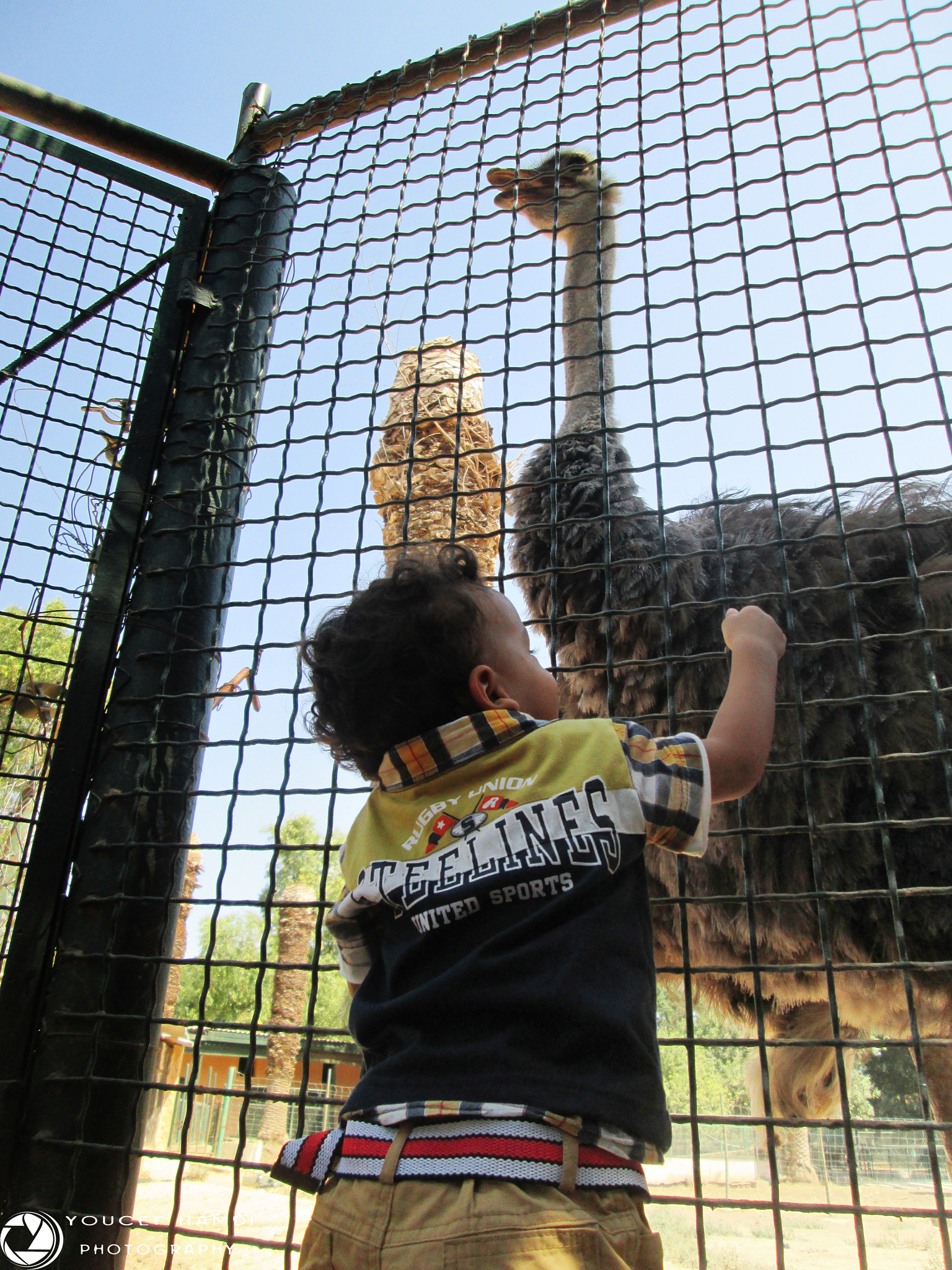 Canon PowerShot A2500 sample photo. Zoo ♥ bebe . photography
