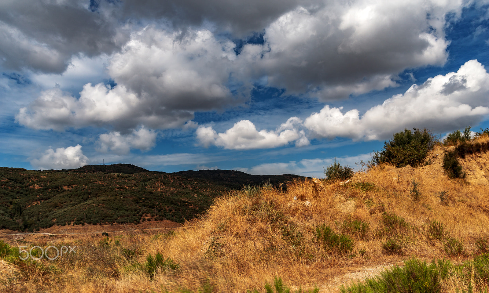 Sony a99 II + Tamron SP 24-70mm F2.8 Di VC USD sample photo. Valley photography