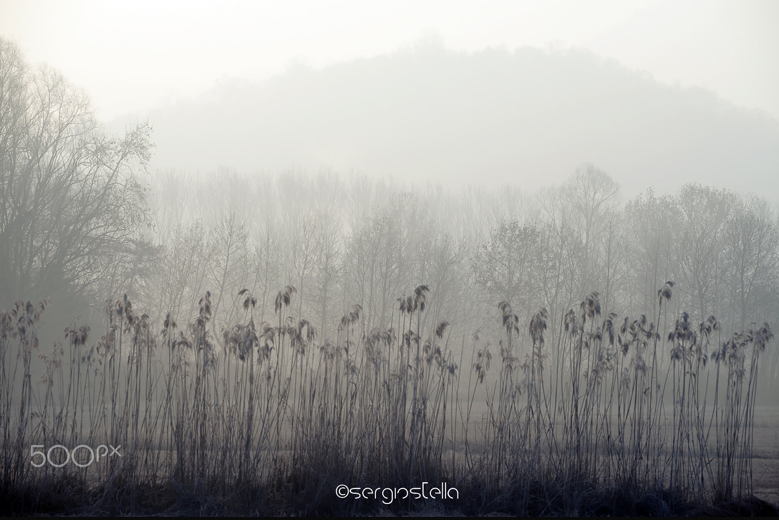 Nikon D610 + Sigma 150mm F2.8 EX DG Macro HSM sample photo. Perspective planes in the fog___ photography