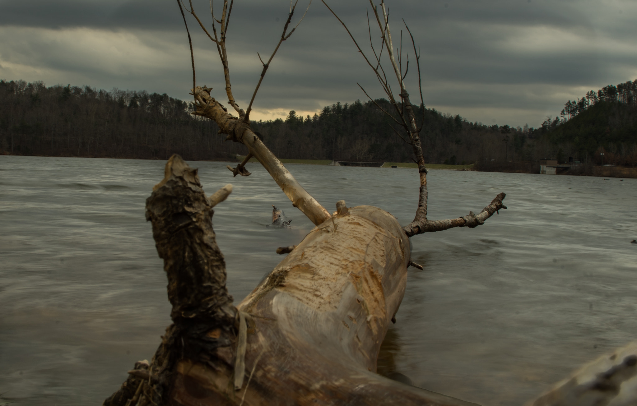 Tamron 18-270mm F3.5-6.3 Di II PZD sample photo. Lake zwerner photography