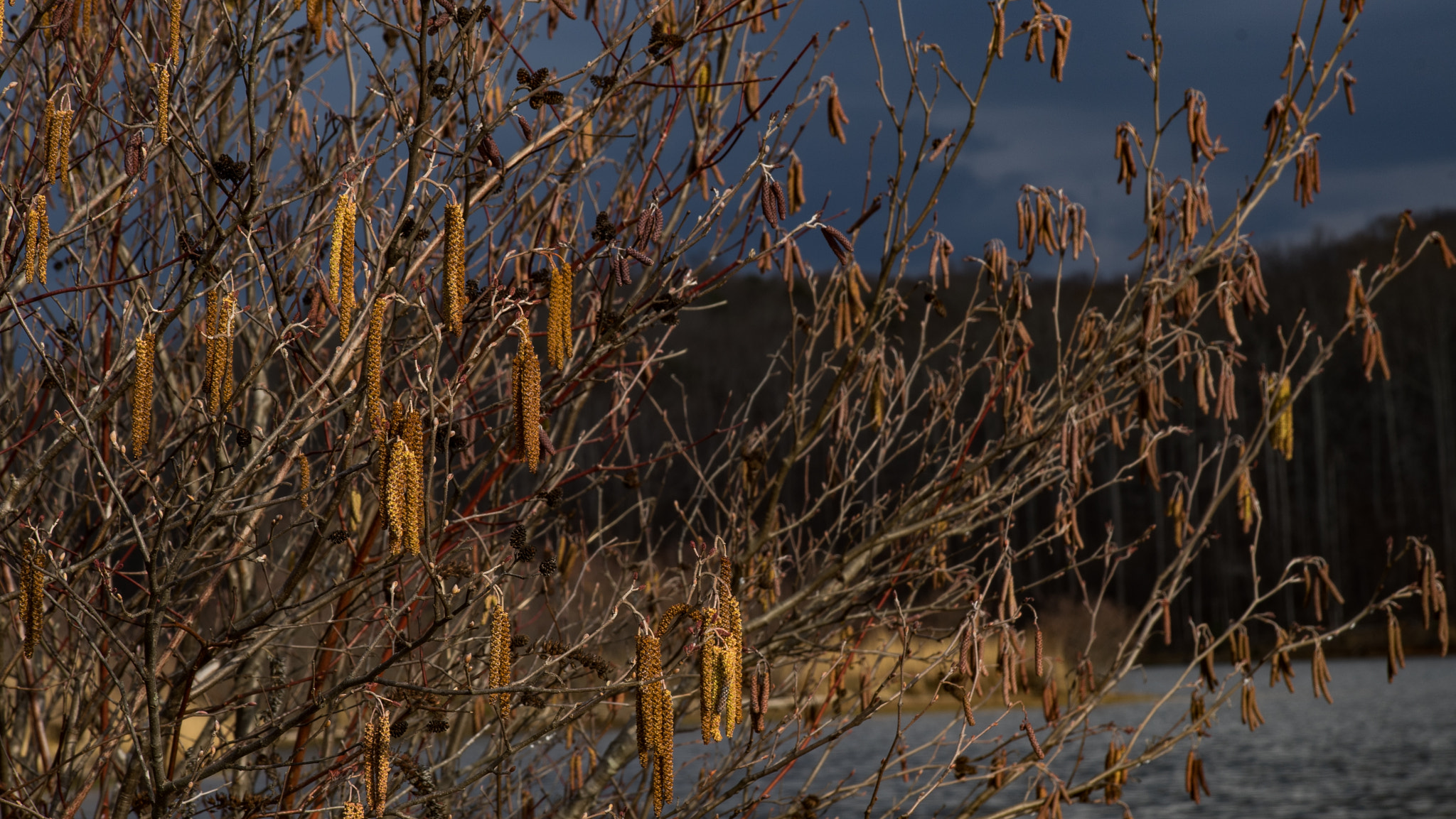 Tamron 18-270mm F3.5-6.3 Di II PZD sample photo. Lake zwerner photography