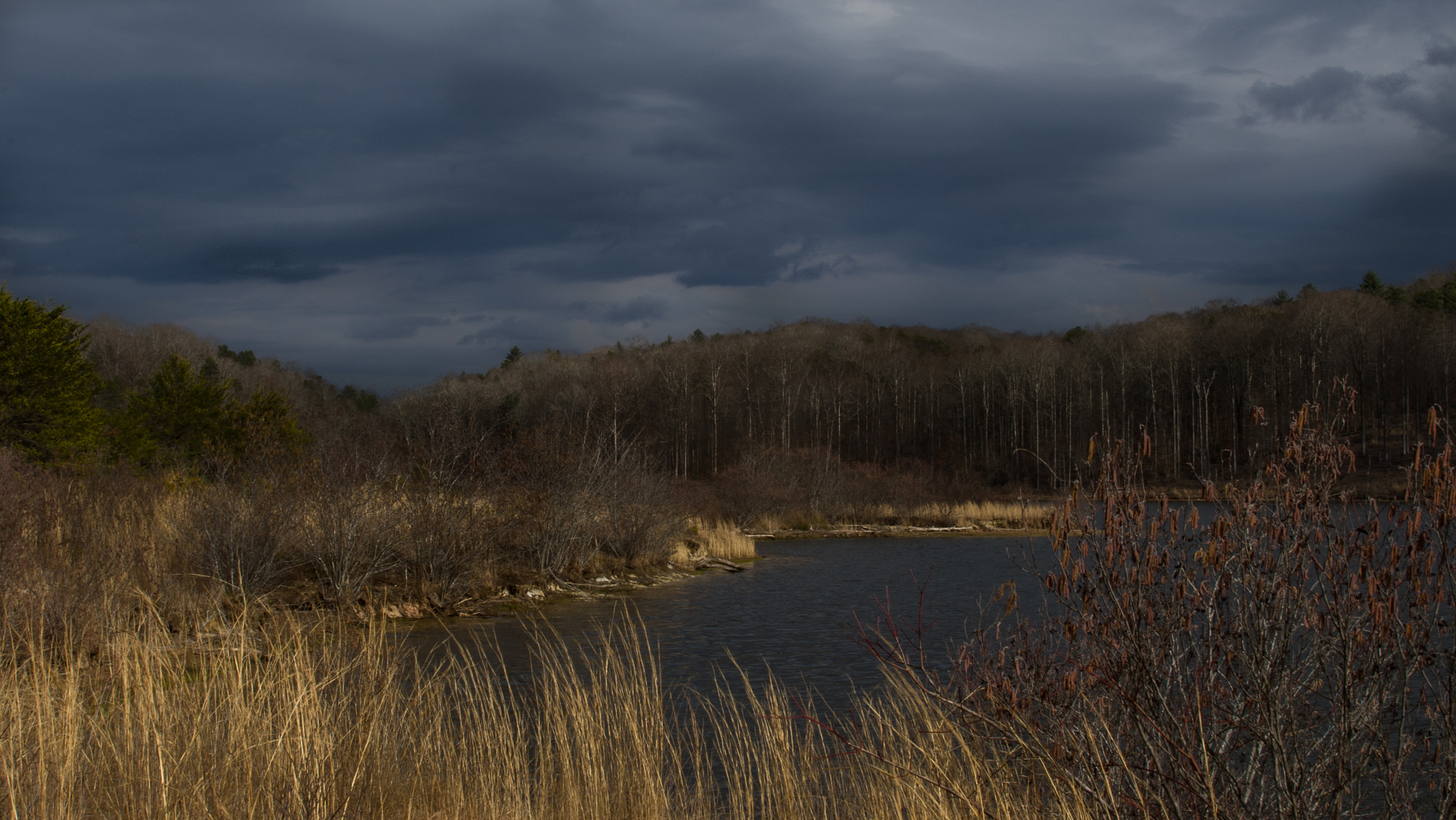 Tamron 18-270mm F3.5-6.3 Di II PZD sample photo. Lake zwerner photography