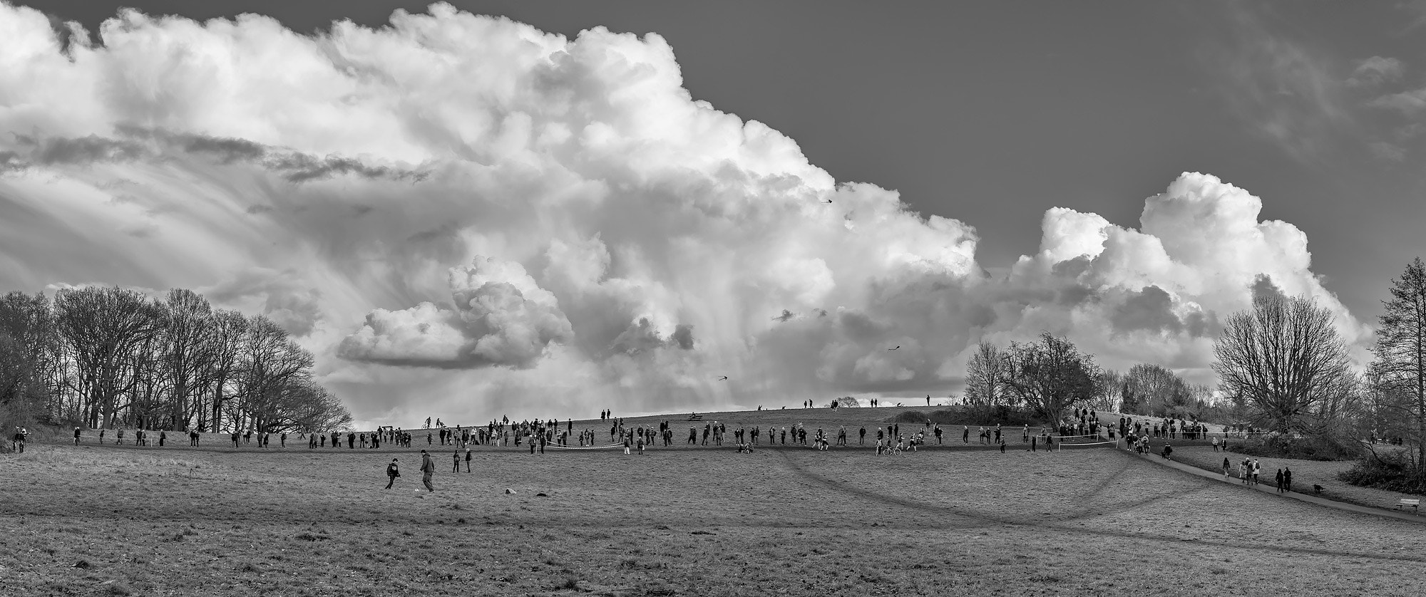 Nikon D750 + Tamron SP 35mm F1.8 Di VC USD sample photo. Majestic clouds over hampstead heath photography