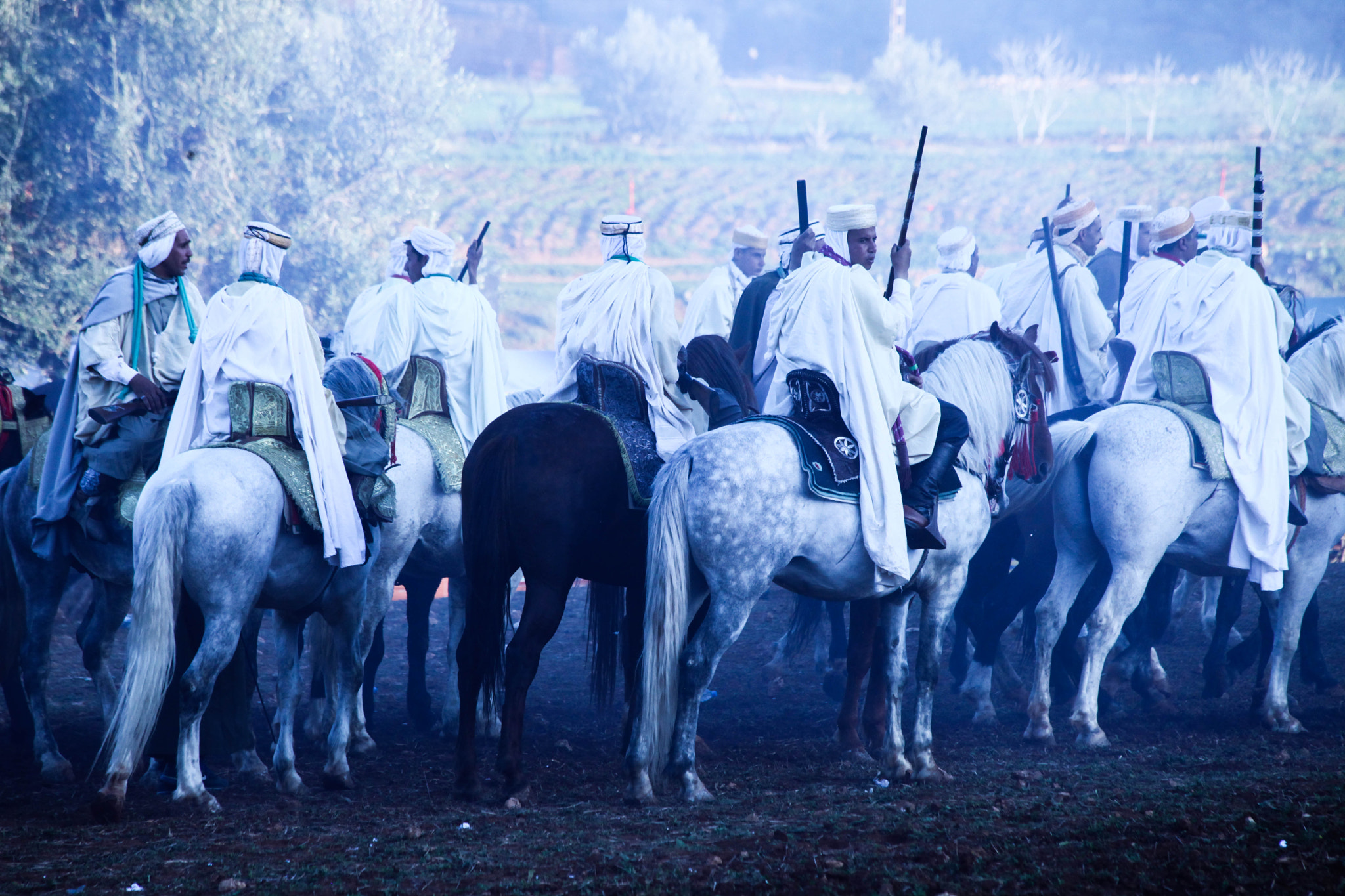 Canon EF 70-300mm F4-5.6 IS USM sample photo. Horses photography