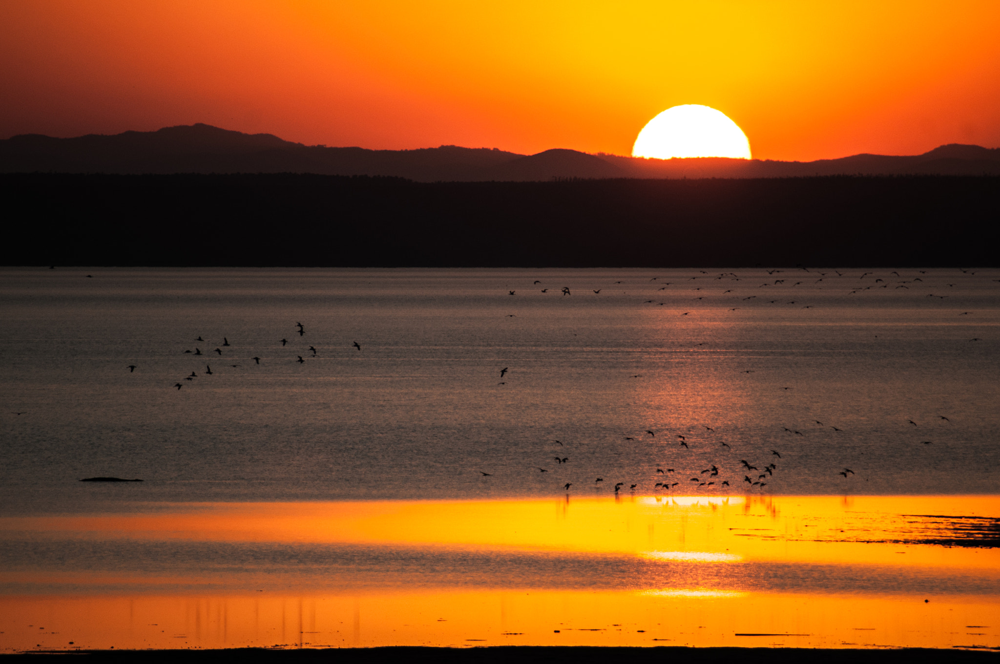 Nikon D300 sample photo. Isimangaliso sunset photography