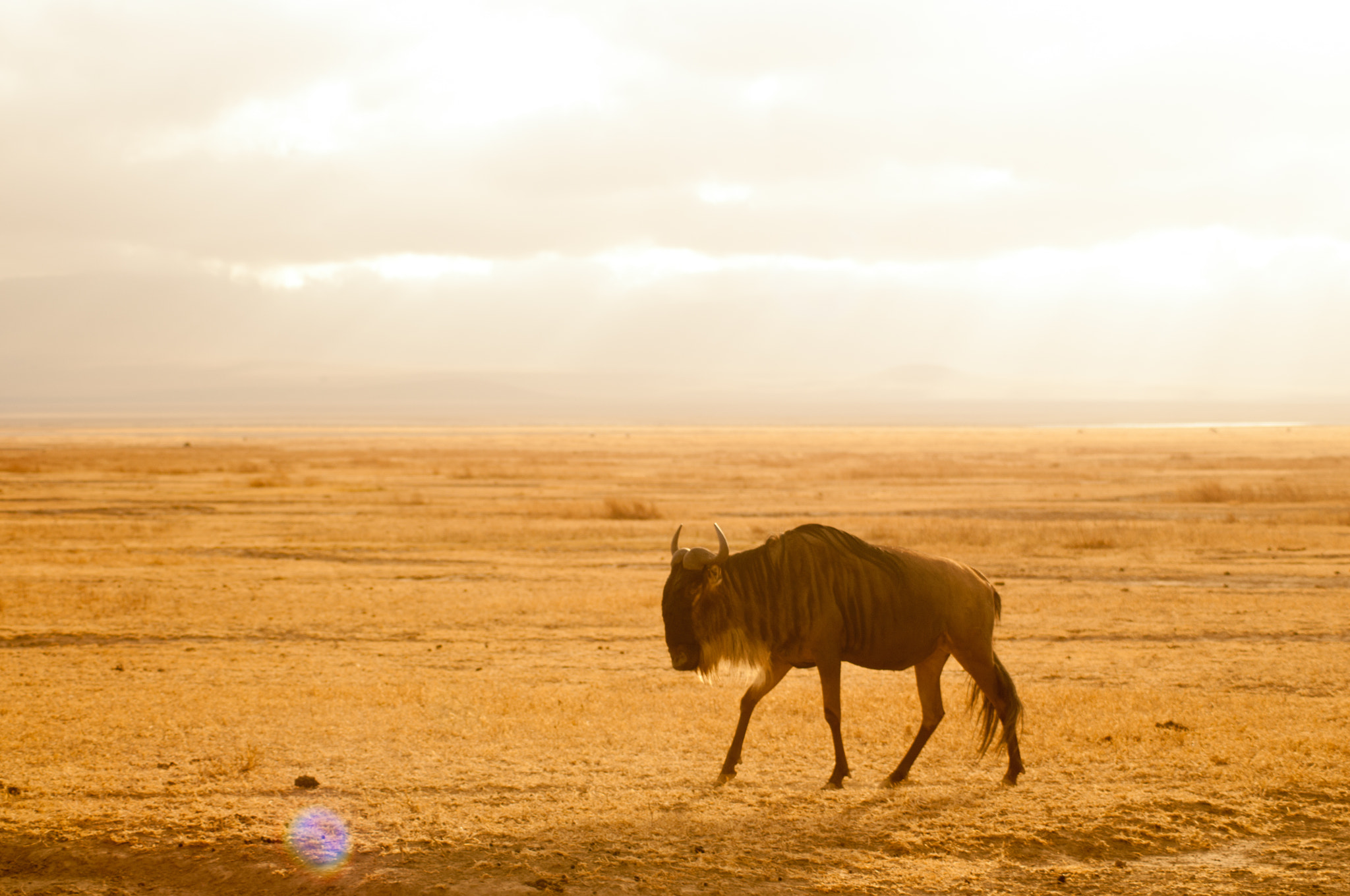 Nikon D300 sample photo. Crater morning photography