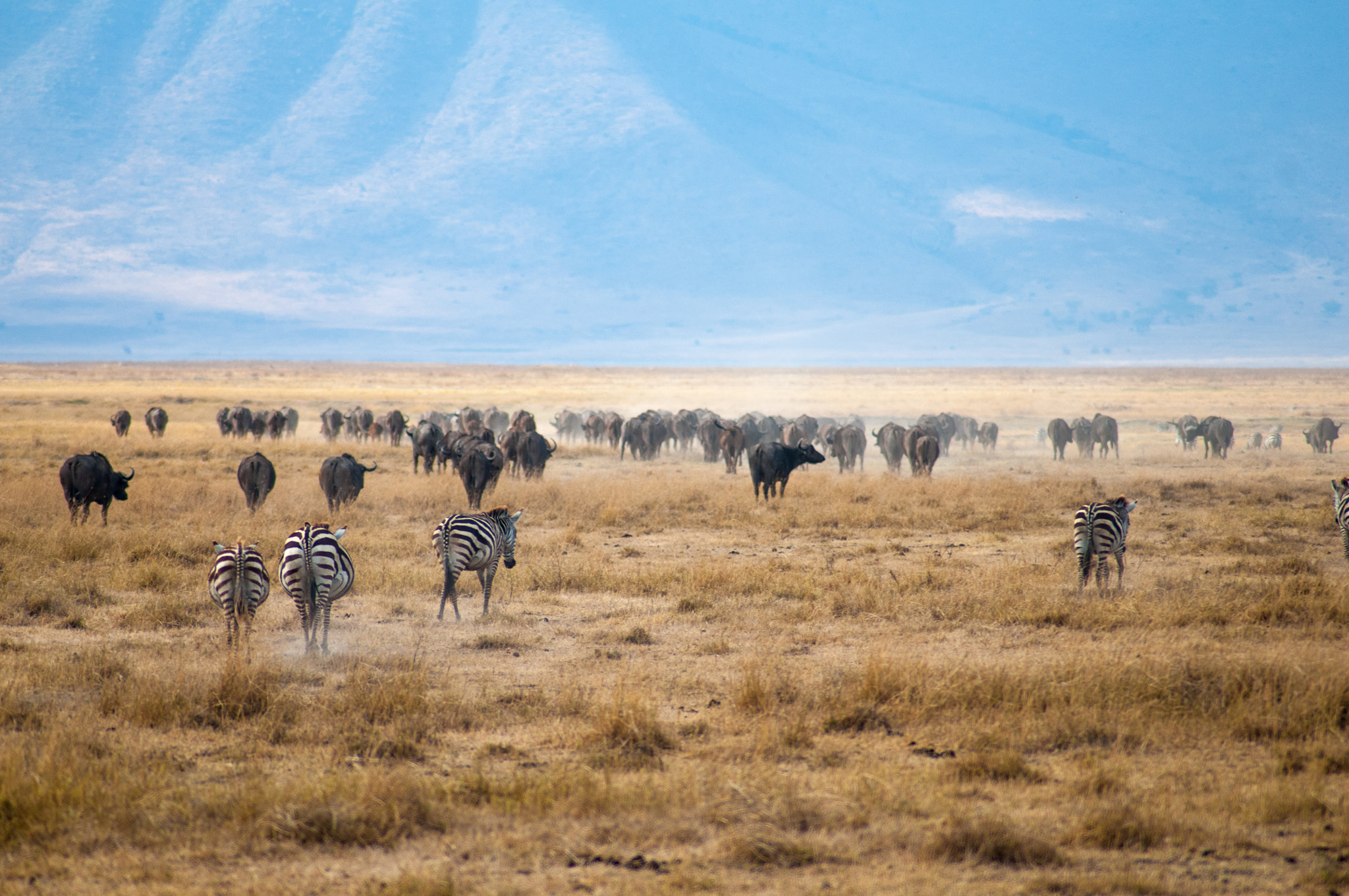 Nikon D300 sample photo. Traffic on the crater floor photography