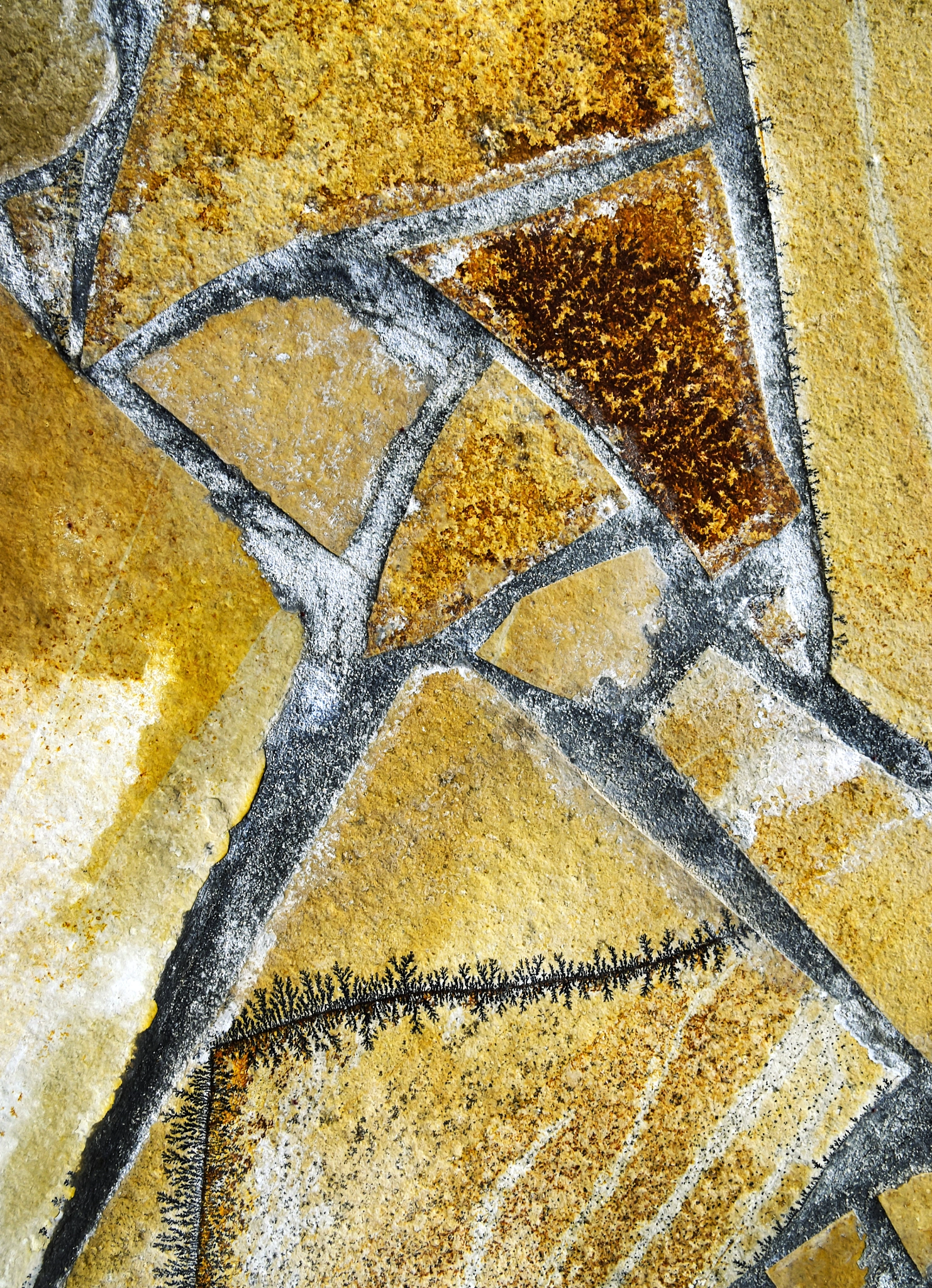 Nikon D5500 sample photo. Abstract detail stone pavement photography