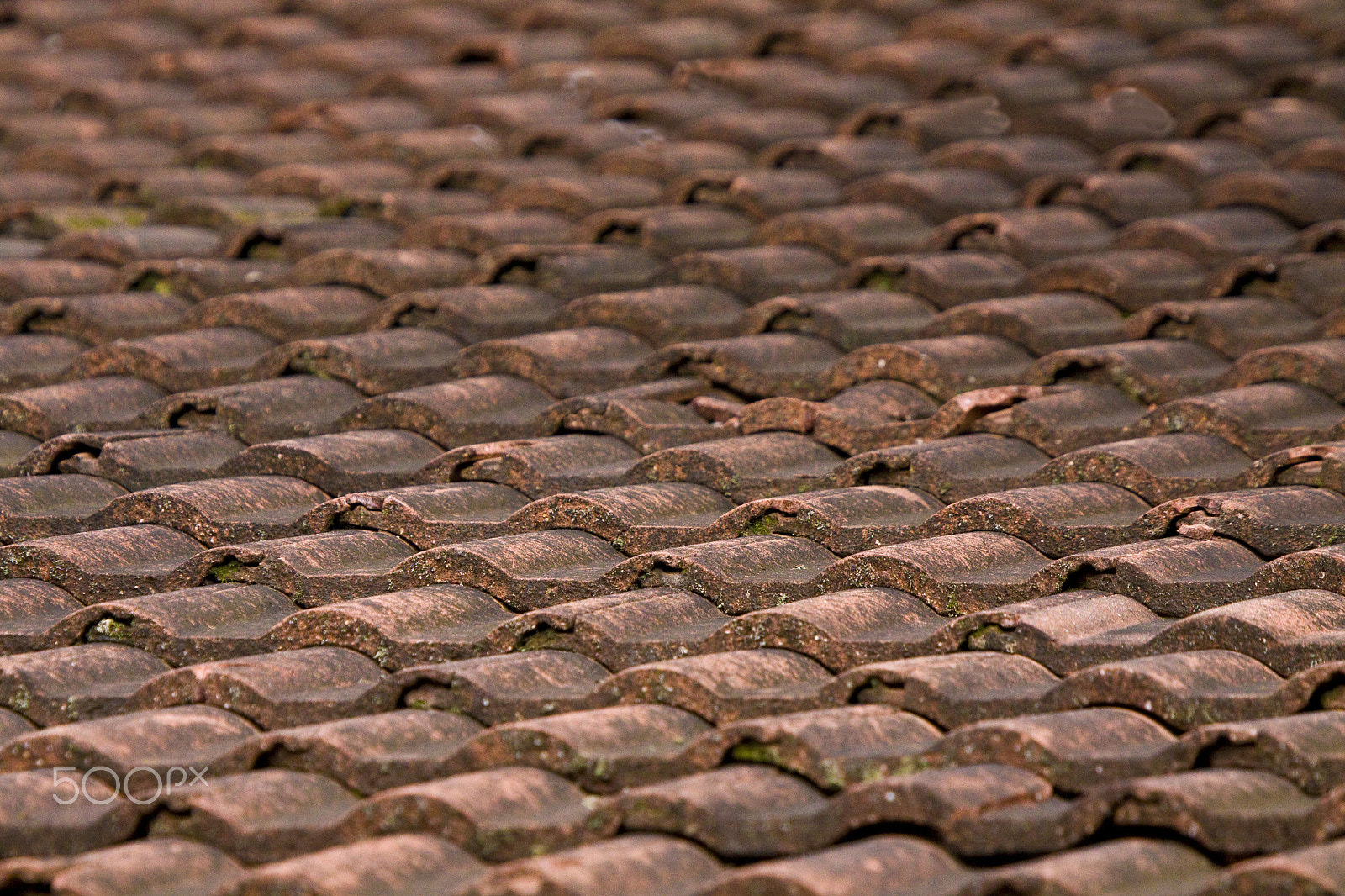 Canon EF 100-400mm F4.5-5.6L IS USM sample photo. Terracotta patterns photography