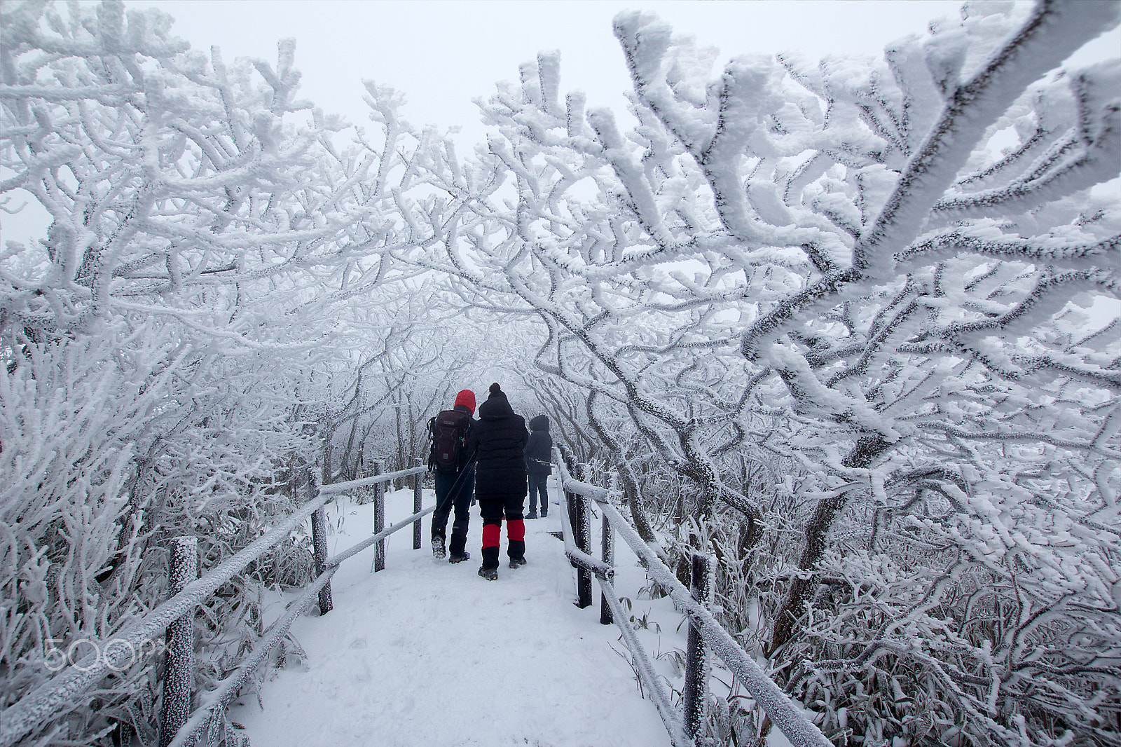 Sigma 10-20mm F3.5 EX DC HSM sample photo. Winter photography