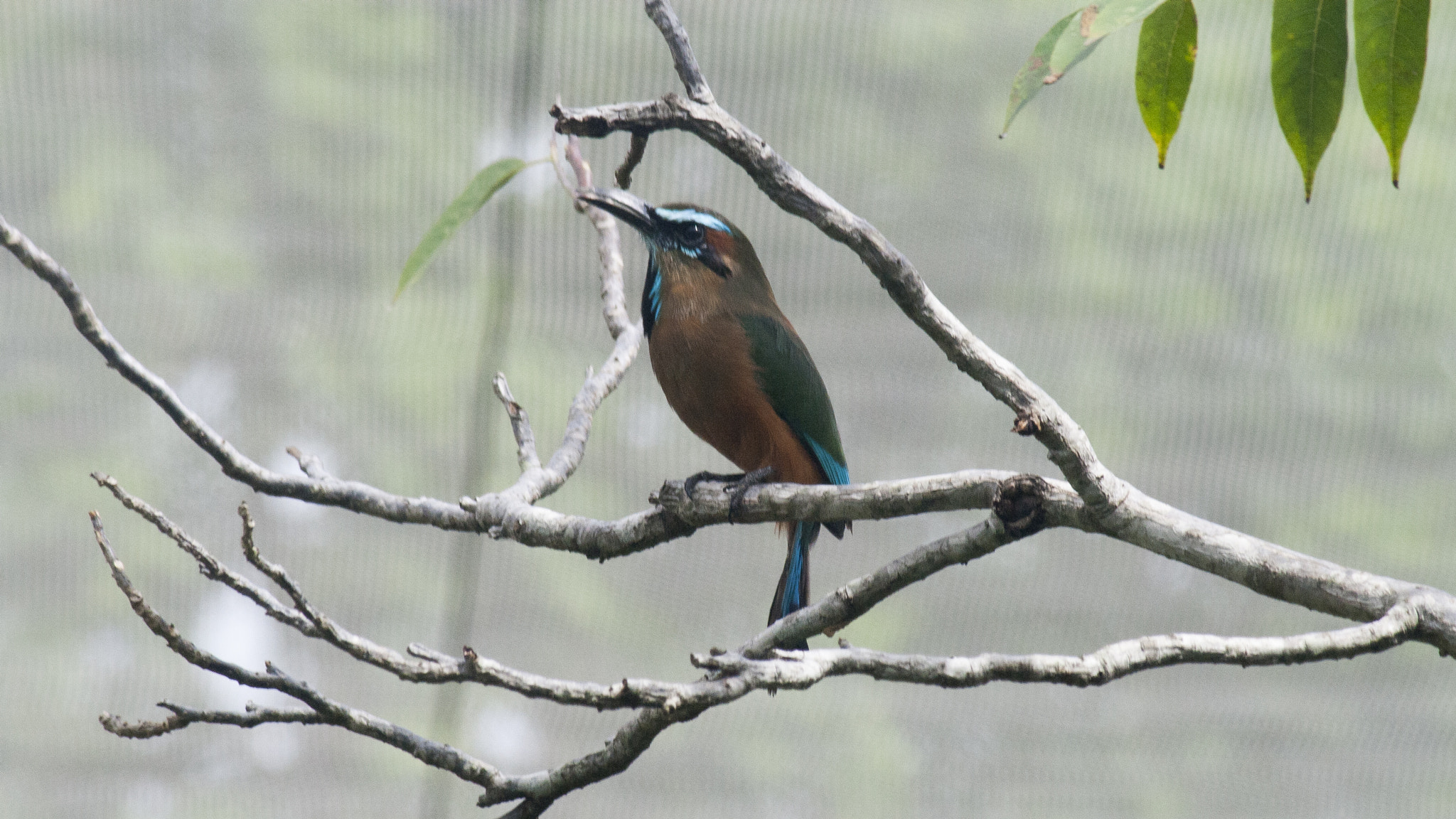 Canon EF-S 55-250mm F4-5.6 IS sample photo. Maquillaje photography