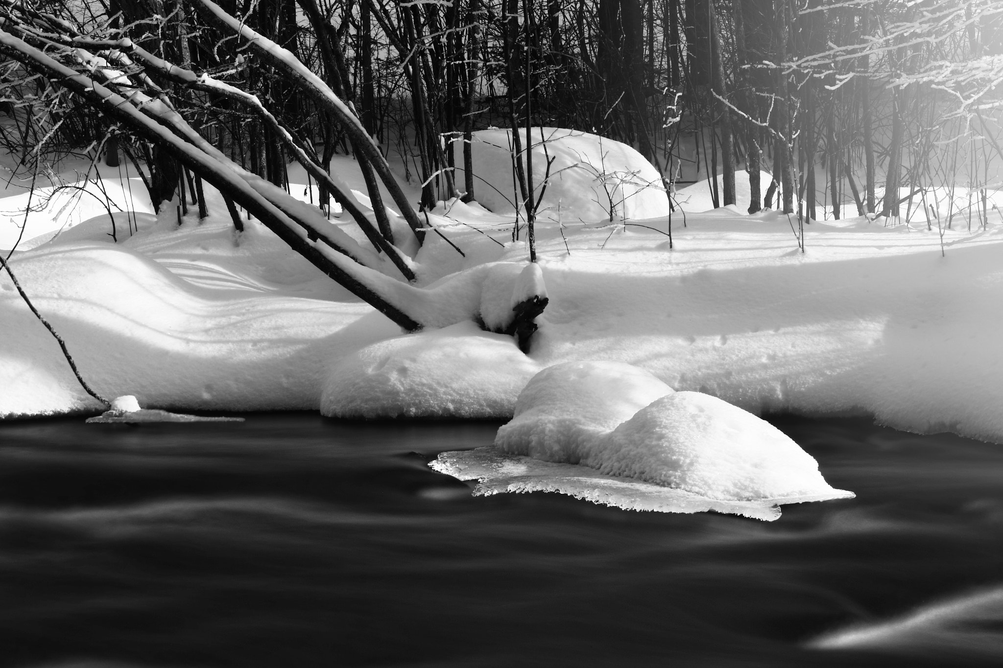 Sigma 70-200mm F2.8 EX DG OS HSM sample photo. Fresh snow of the pelican in light photography