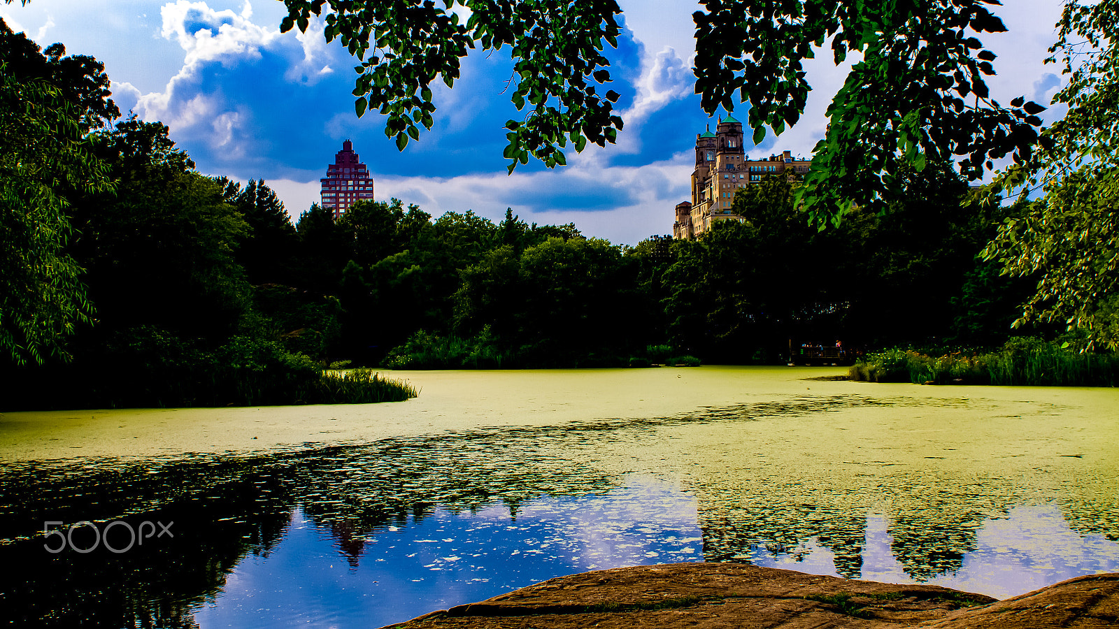 Canon EF 28mm F1.8 USM sample photo. New york central park photography