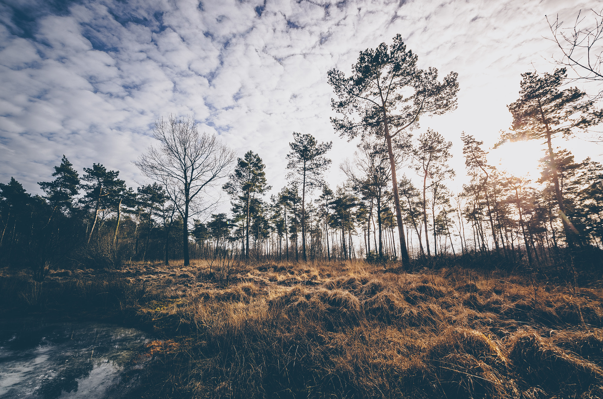 Nikon D7000 + Sigma 10-20mm F3.5 EX DC HSM sample photo. Vloedlossing photography