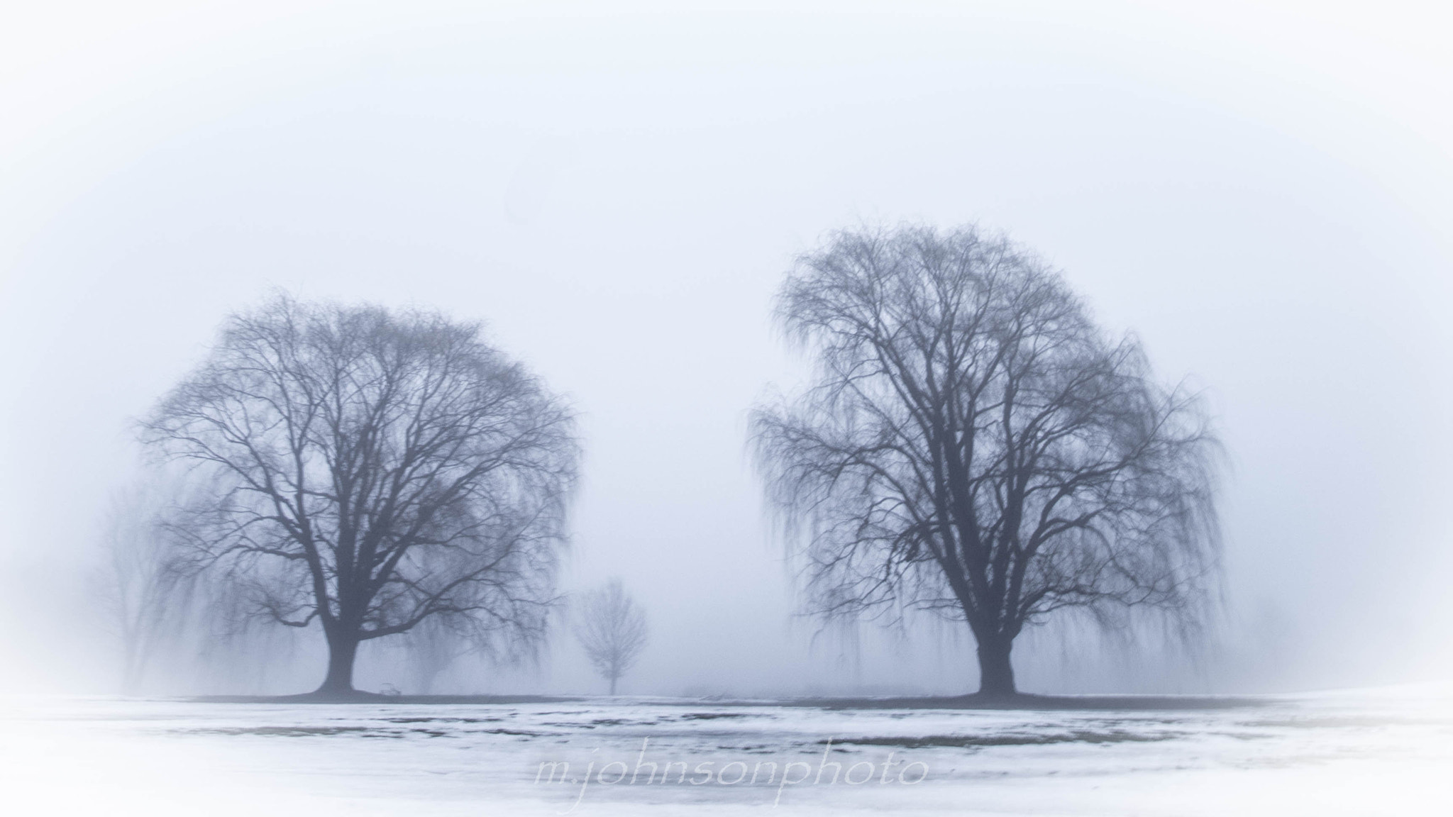 Canon EOS 600D (Rebel EOS T3i / EOS Kiss X5) sample photo. Willows in the mist photography