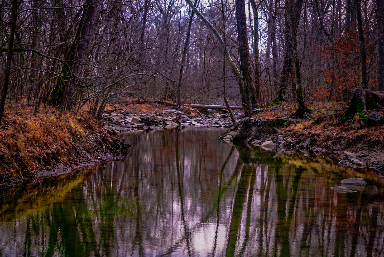 Sony E 55-210mm F4.5-6.3 OSS sample photo. Winter creek photography