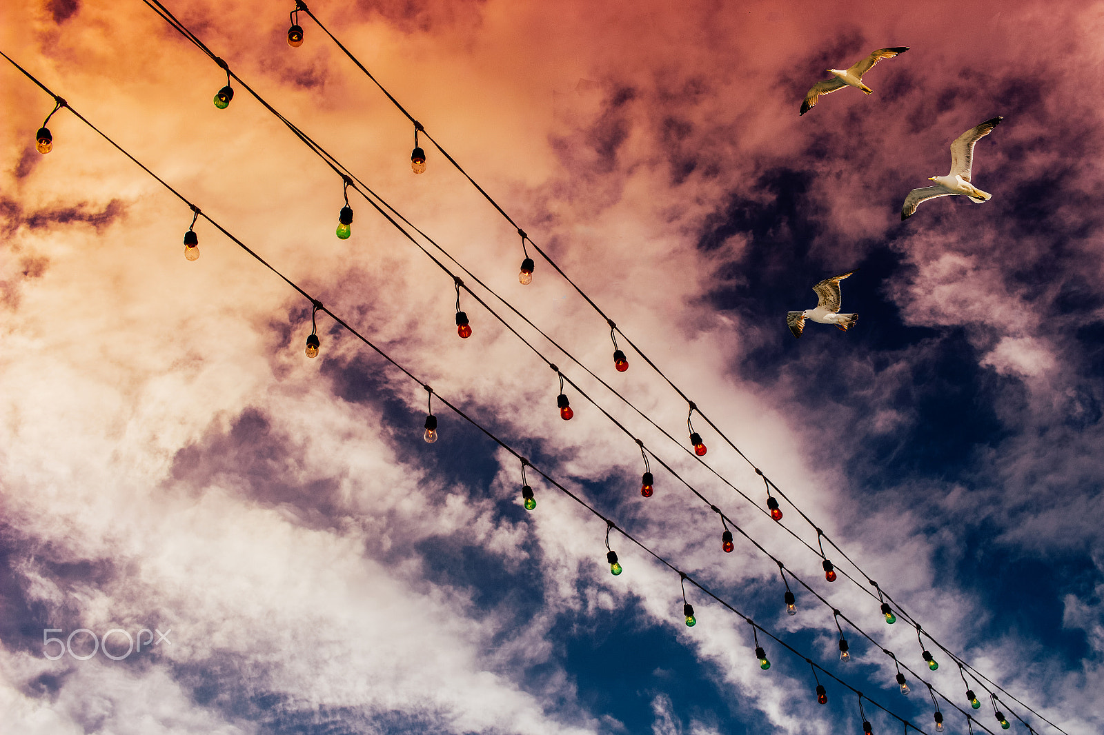 Canon EF-S 24mm F2.8 STM sample photo. We all can dream, and we all can fly! photography
