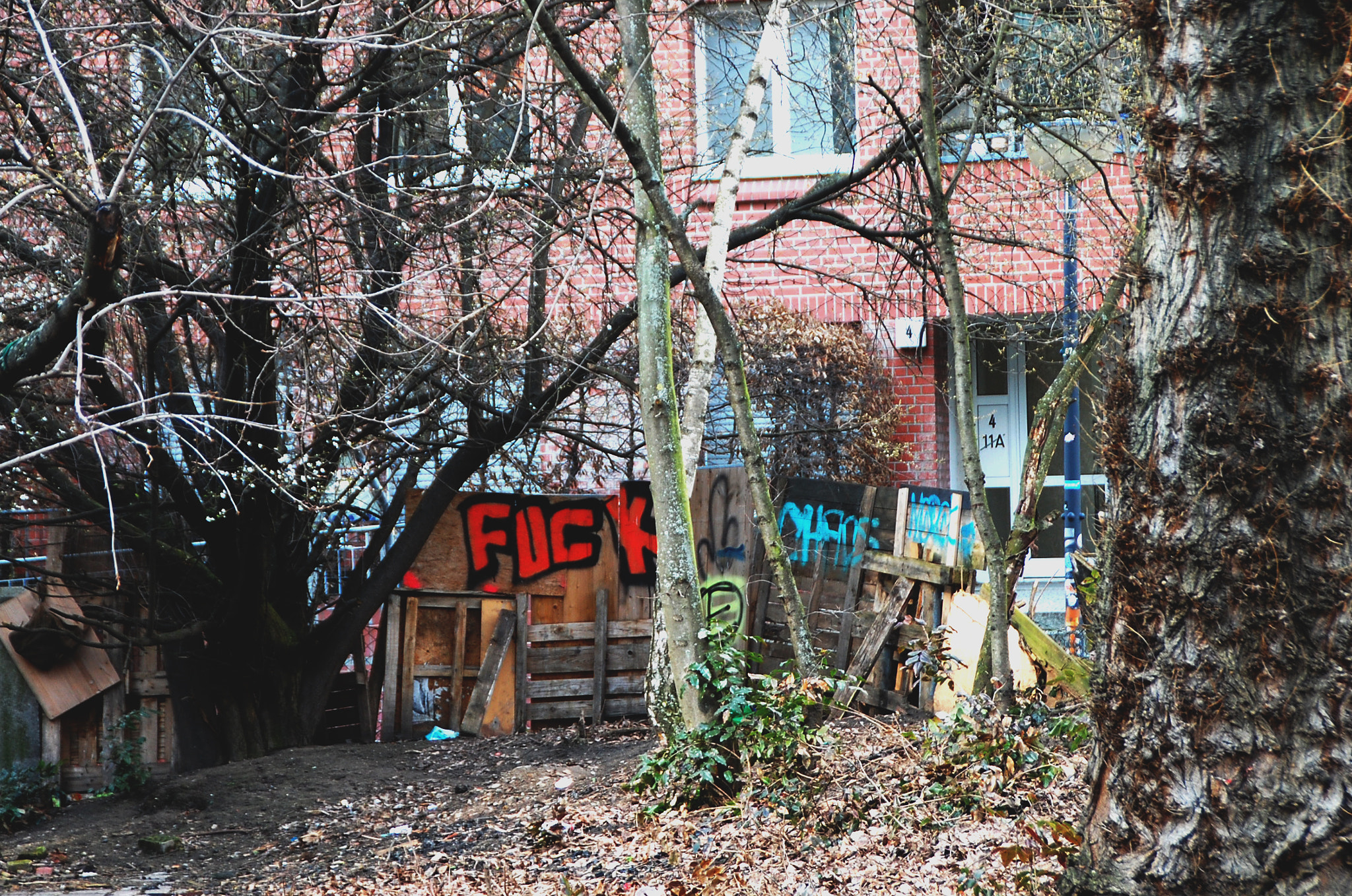 Nikon D40 sample photo. Fuck photography