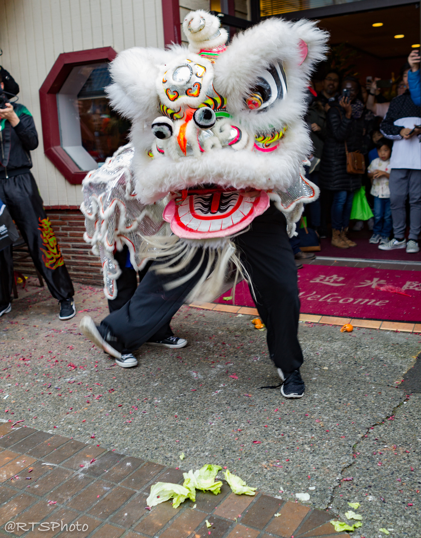 Canon EOS-1D Mark IV + Canon EF 24-70mm F2.8L USM sample photo. Lunar new year - lion dance photography