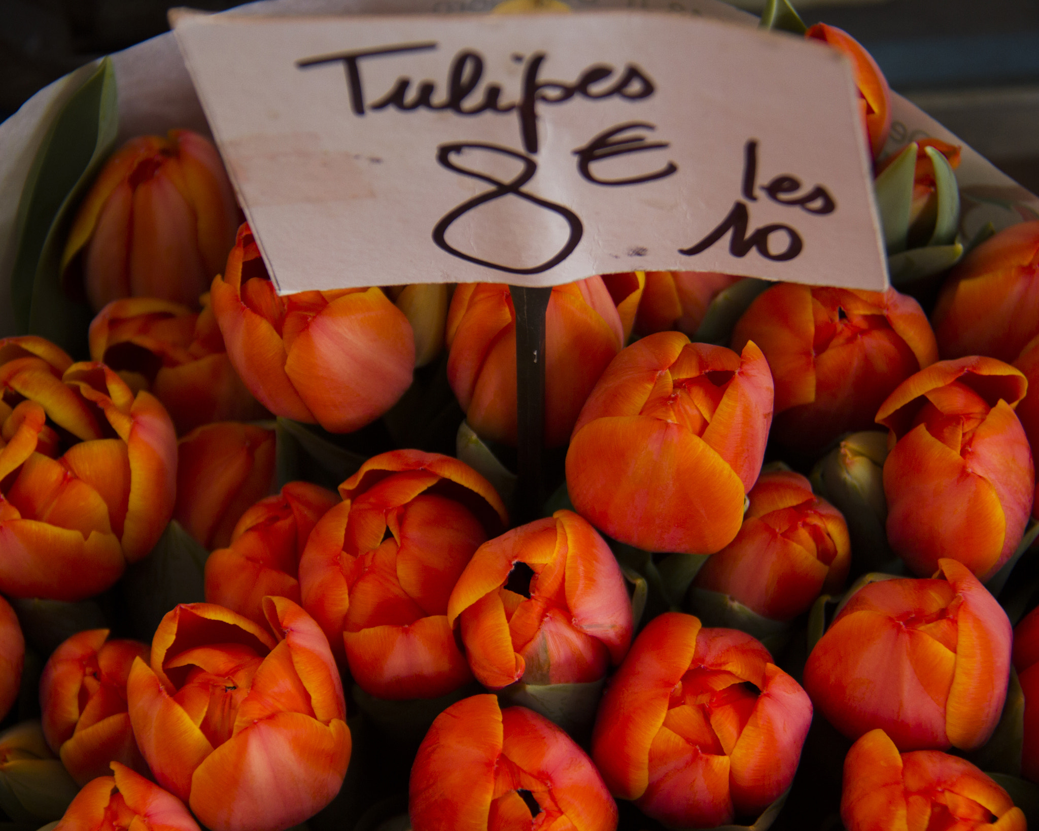 Canon EOS 550D (EOS Rebel T2i / EOS Kiss X4) sample photo. Flower market photography