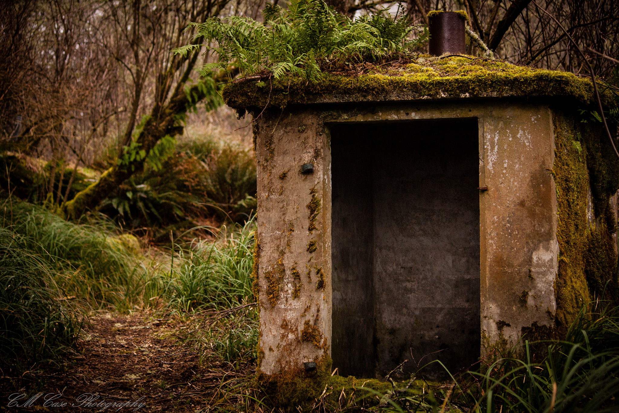 Canon EOS 40D sample photo. Reclaimed photography