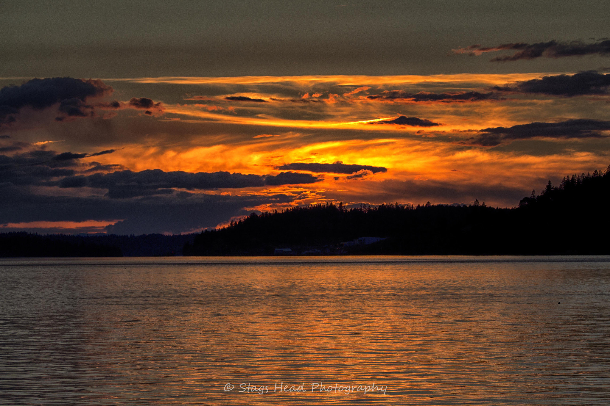 Canon EF 100-400mm F4.5-5.6L IS USM sample photo. Autumn sunset photography