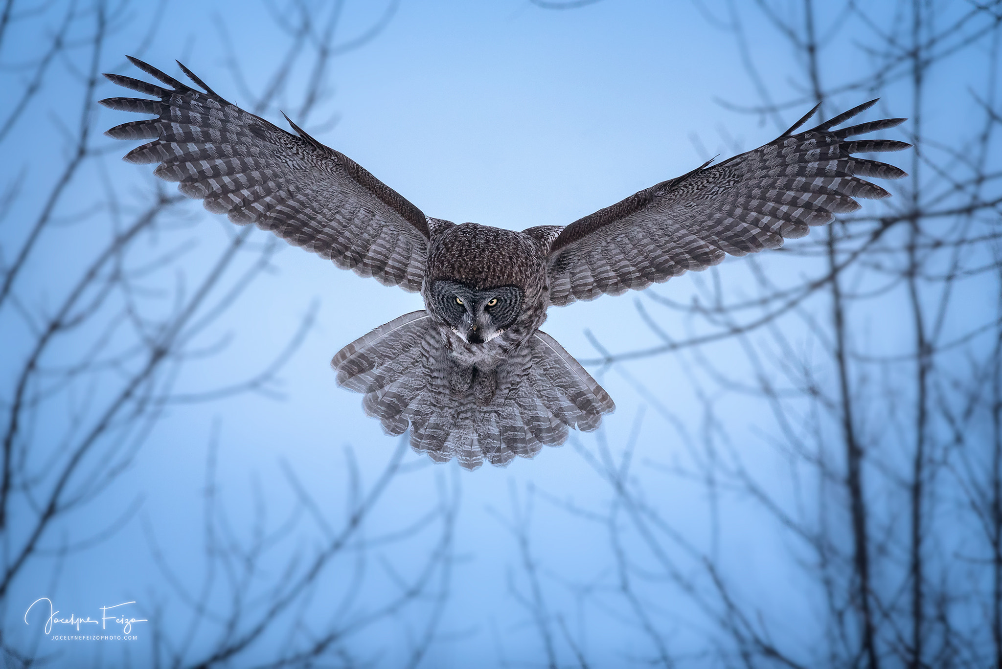 Nikon D750 + Nikon AF-S Nikkor 300mm F4D ED-IF sample photo. Chasing at dusk photography