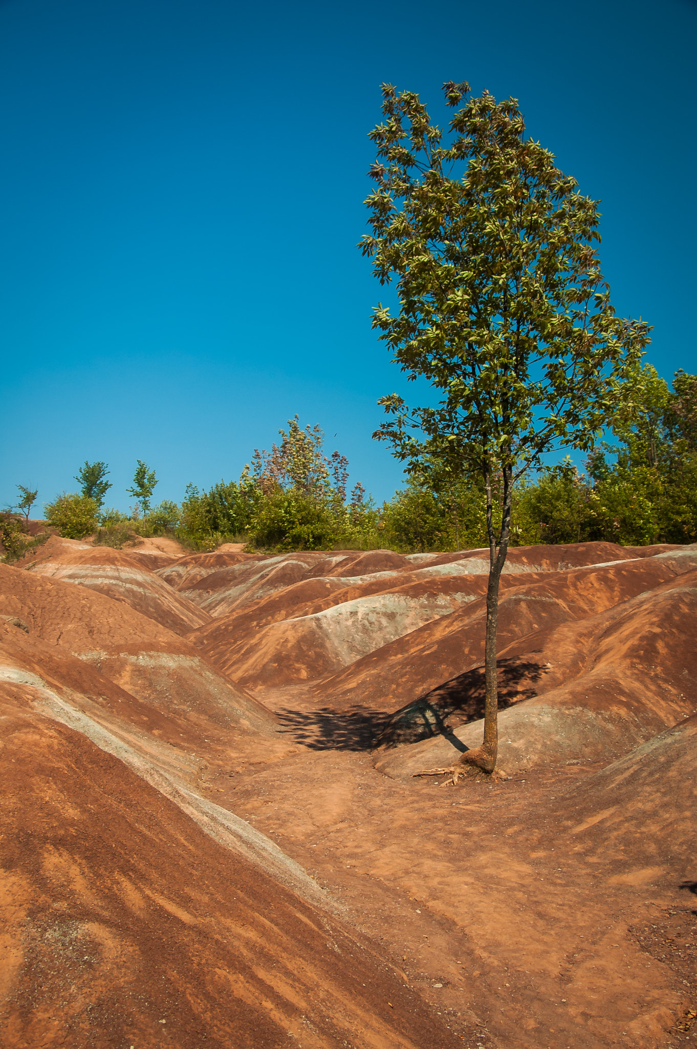 Nikon D50 sample photo. Badlands photography