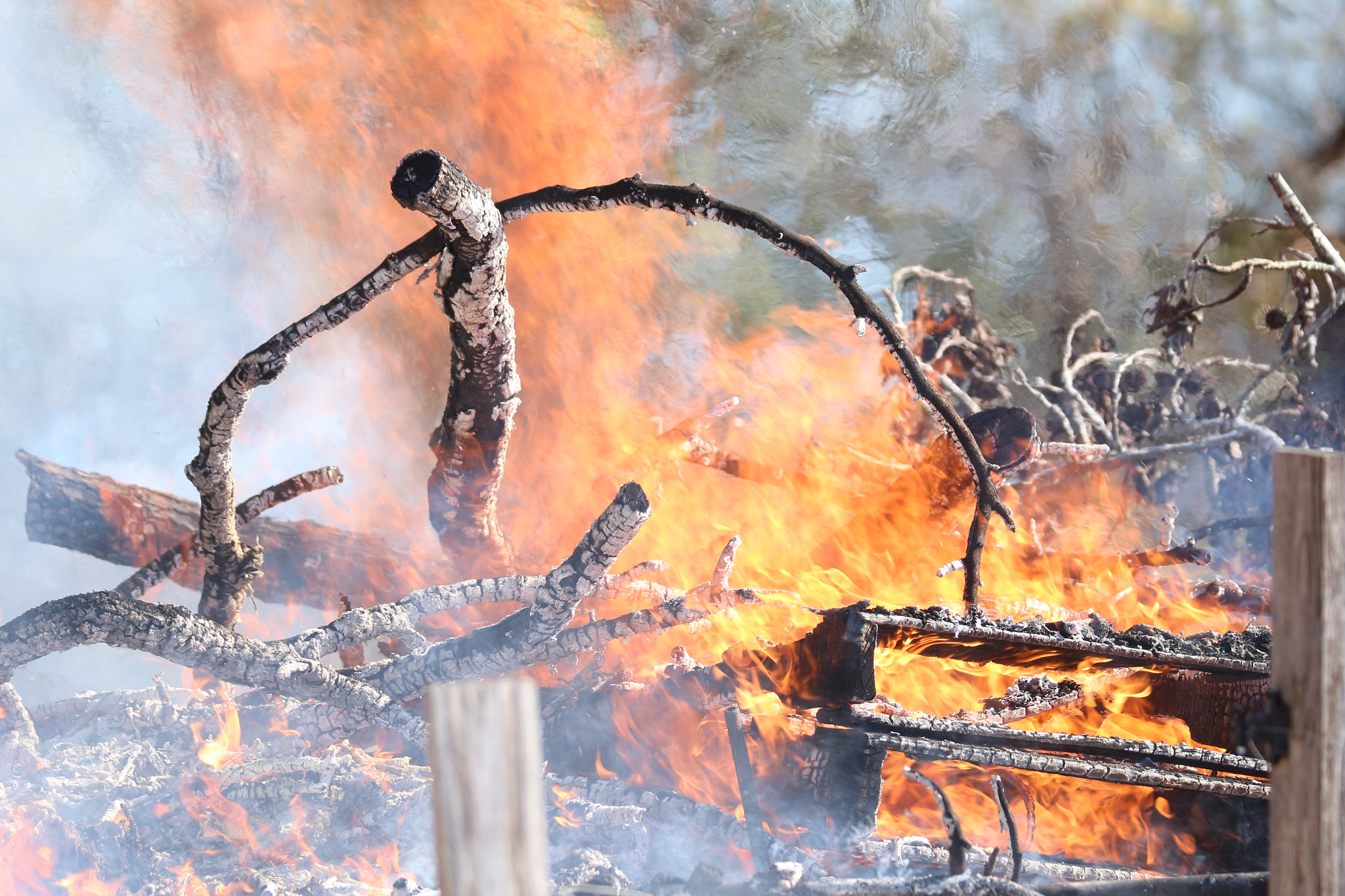 Canon EOS 700D (EOS Rebel T5i / EOS Kiss X7i) sample photo. Blazing fire photography