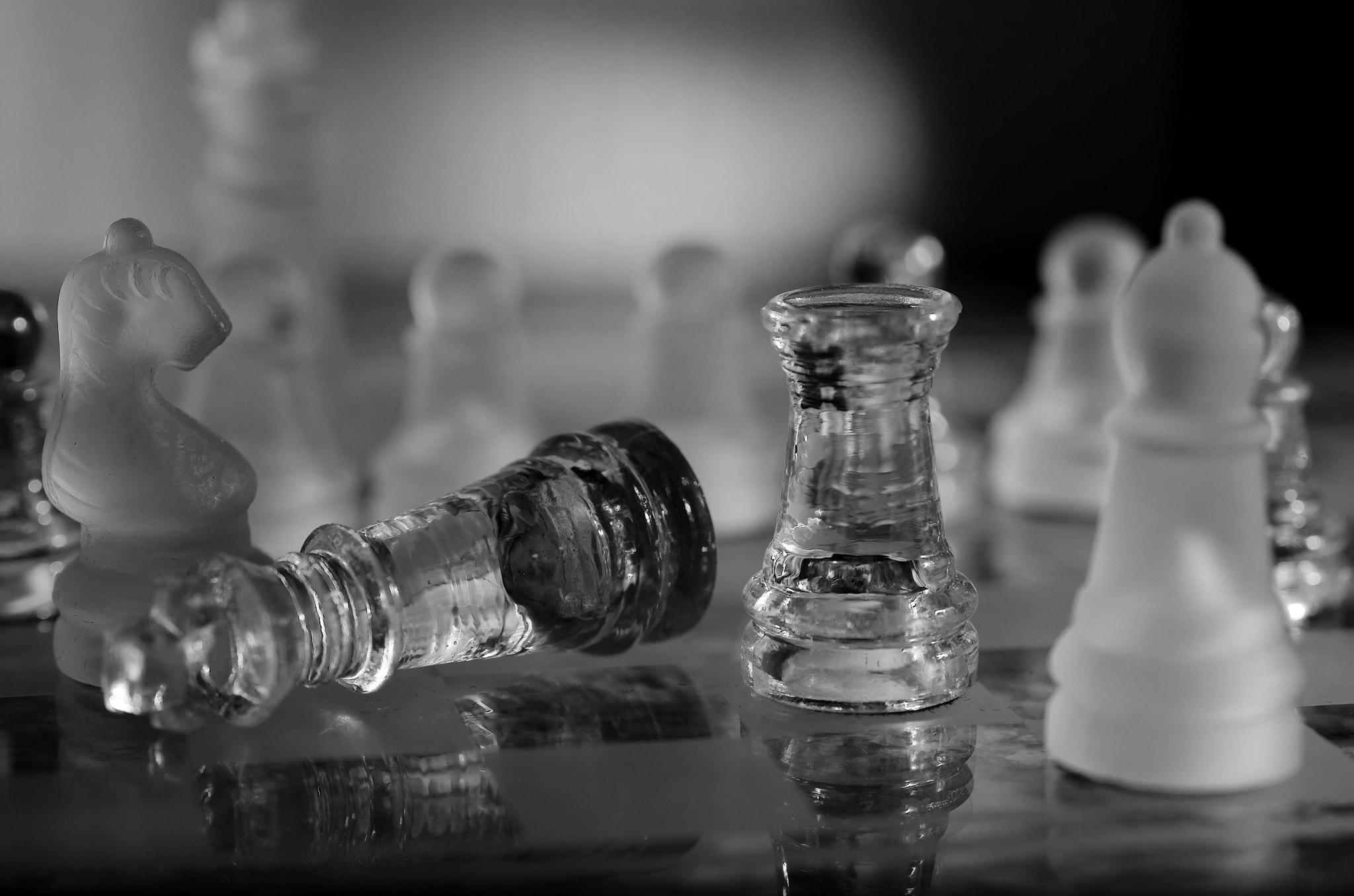 Nikon D7000 + Sigma 50mm F2.8 EX DG Macro sample photo. Fallen king photography