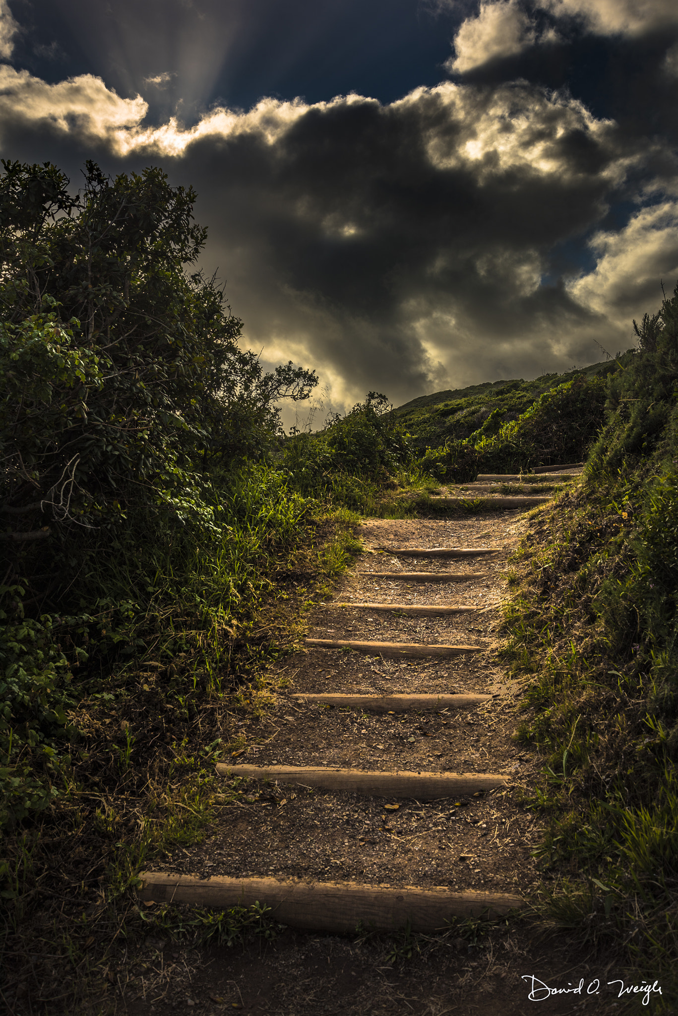 Nikon D810 sample photo. Stairway to heaven photography