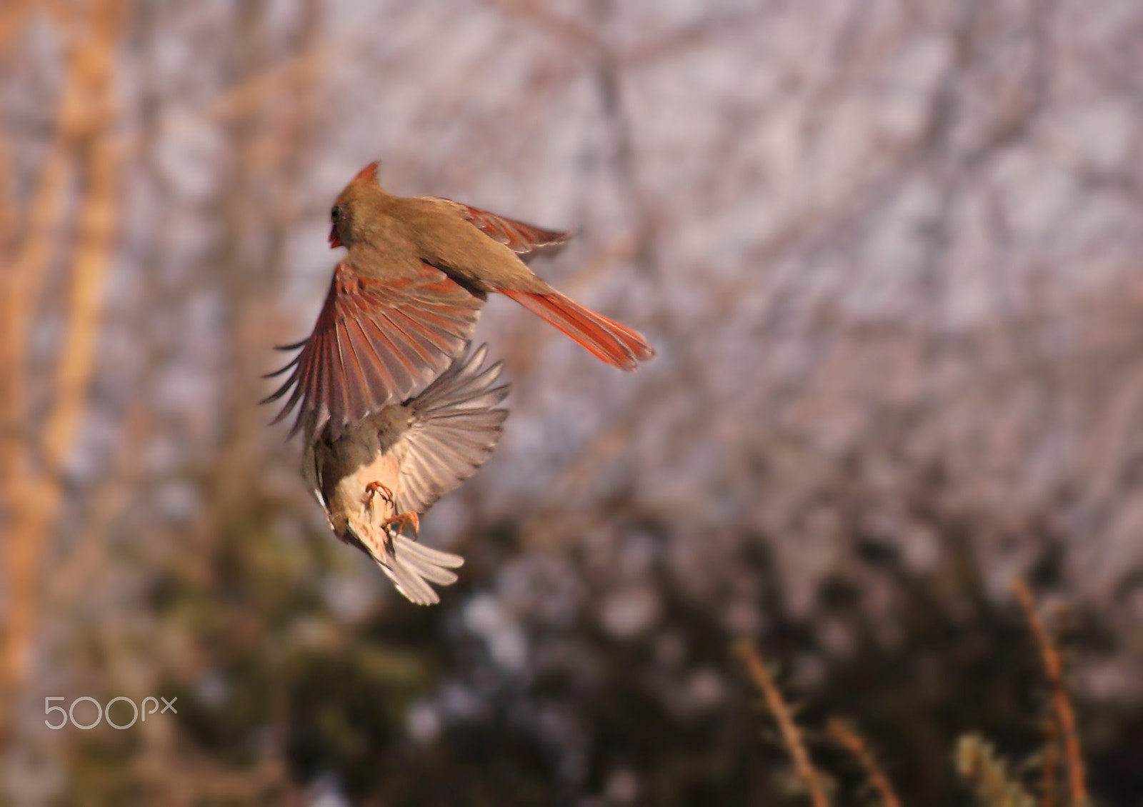 Sony 75-300mm F4.5-5.6 sample photo. Crash!! photography