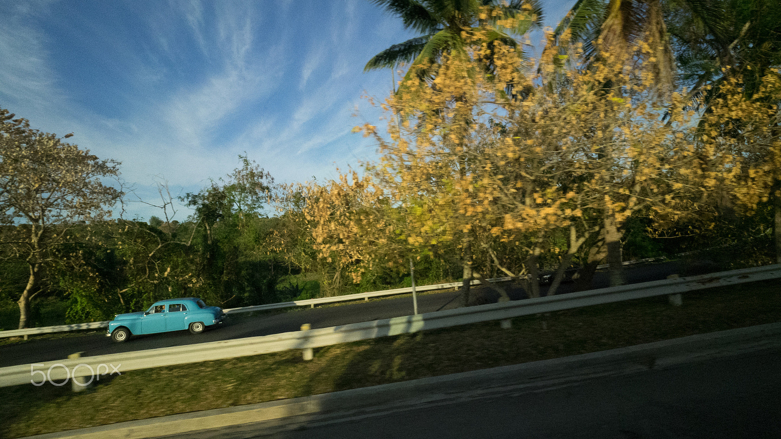 Olympus M.Zuiko Digital ED 7-14mm F2.8 PRO sample photo. Jurrasic park photography