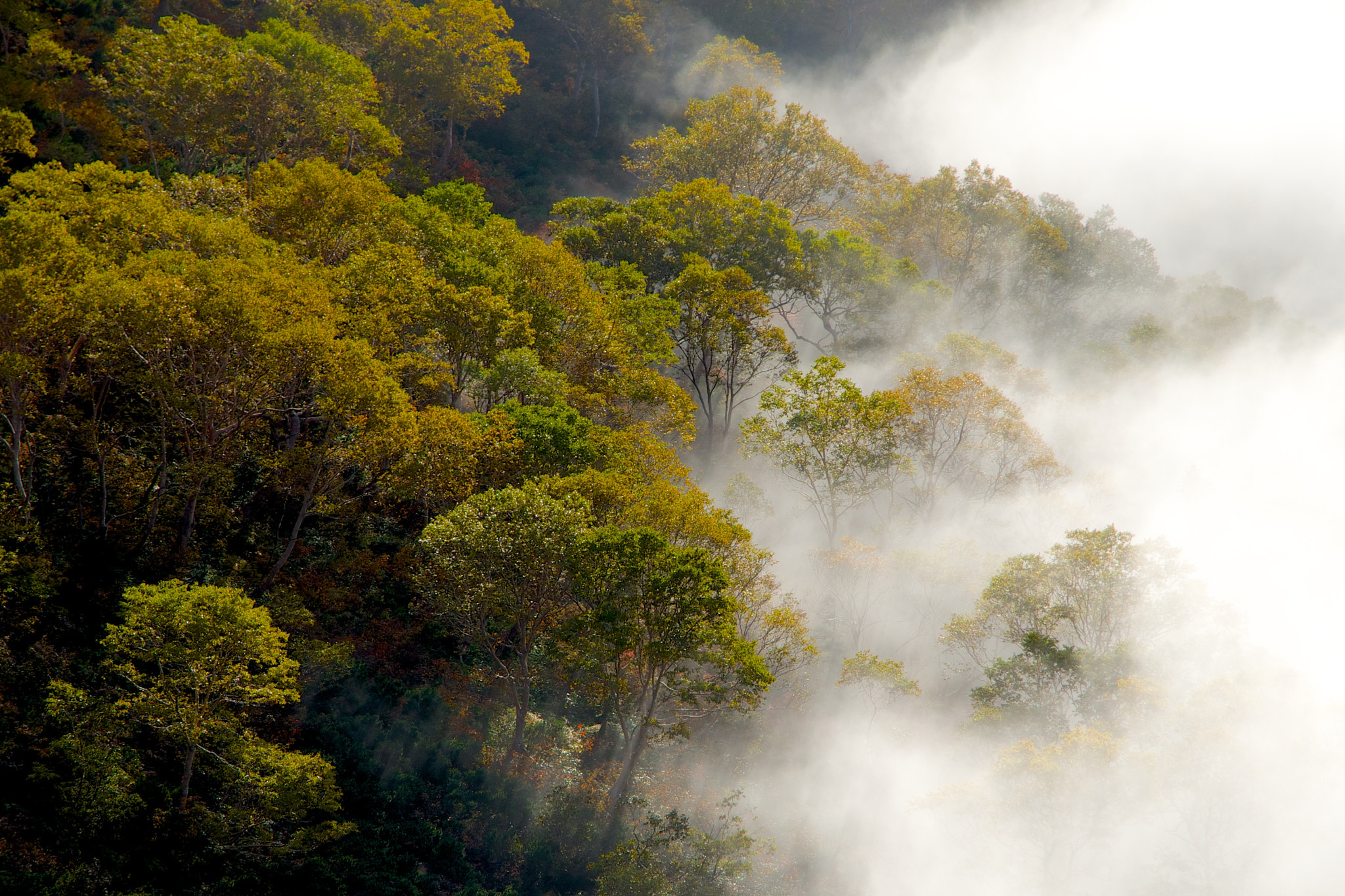 Pentax K-5 IIs sample photo. Japanese alps photography
