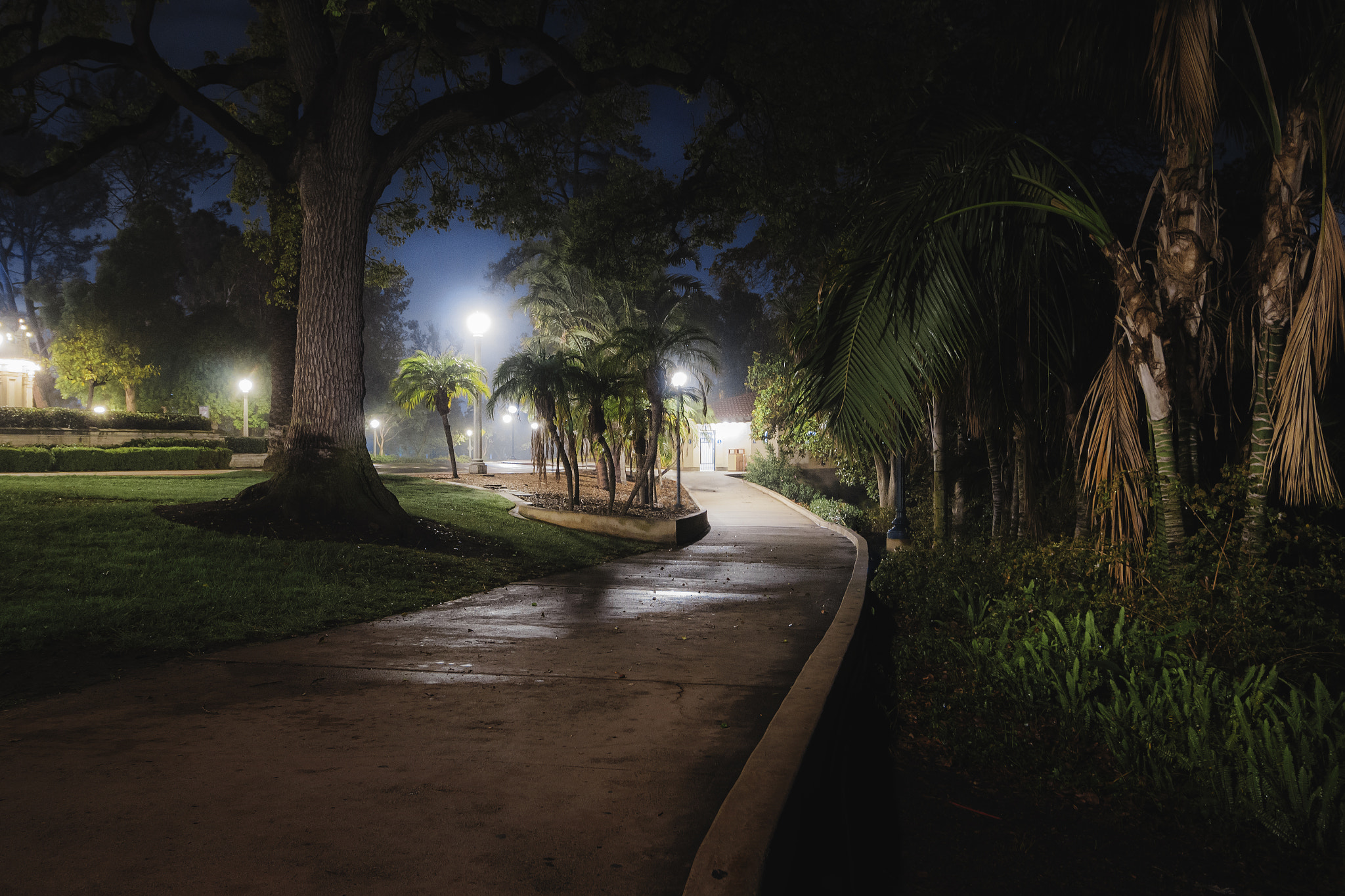 Canon EOS 550D (EOS Rebel T2i / EOS Kiss X4) sample photo. Balboa pathway photography