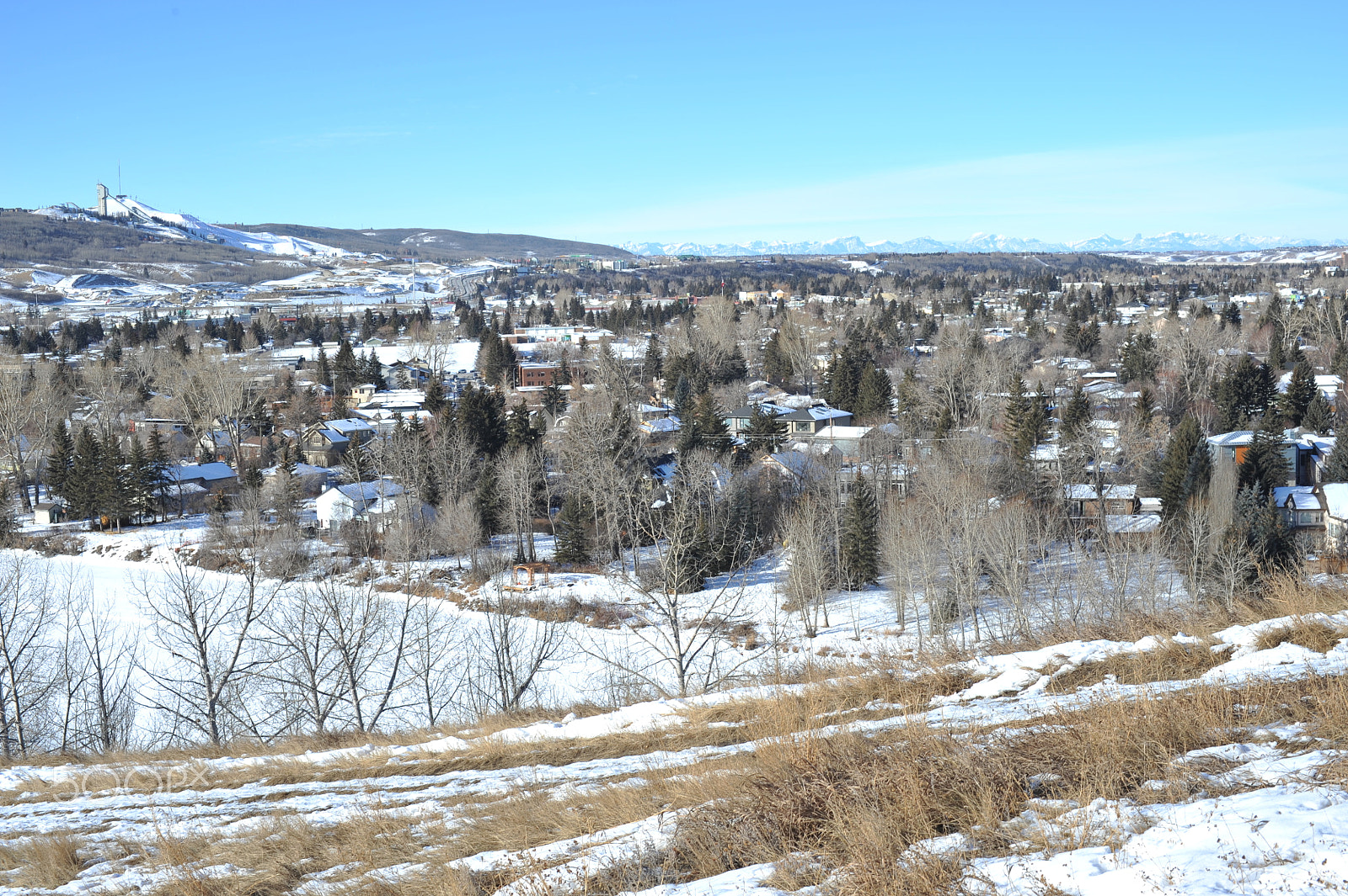 Manual Lens No CPU sample photo. Montgomery, bowness ,calgary,ab.canada photography